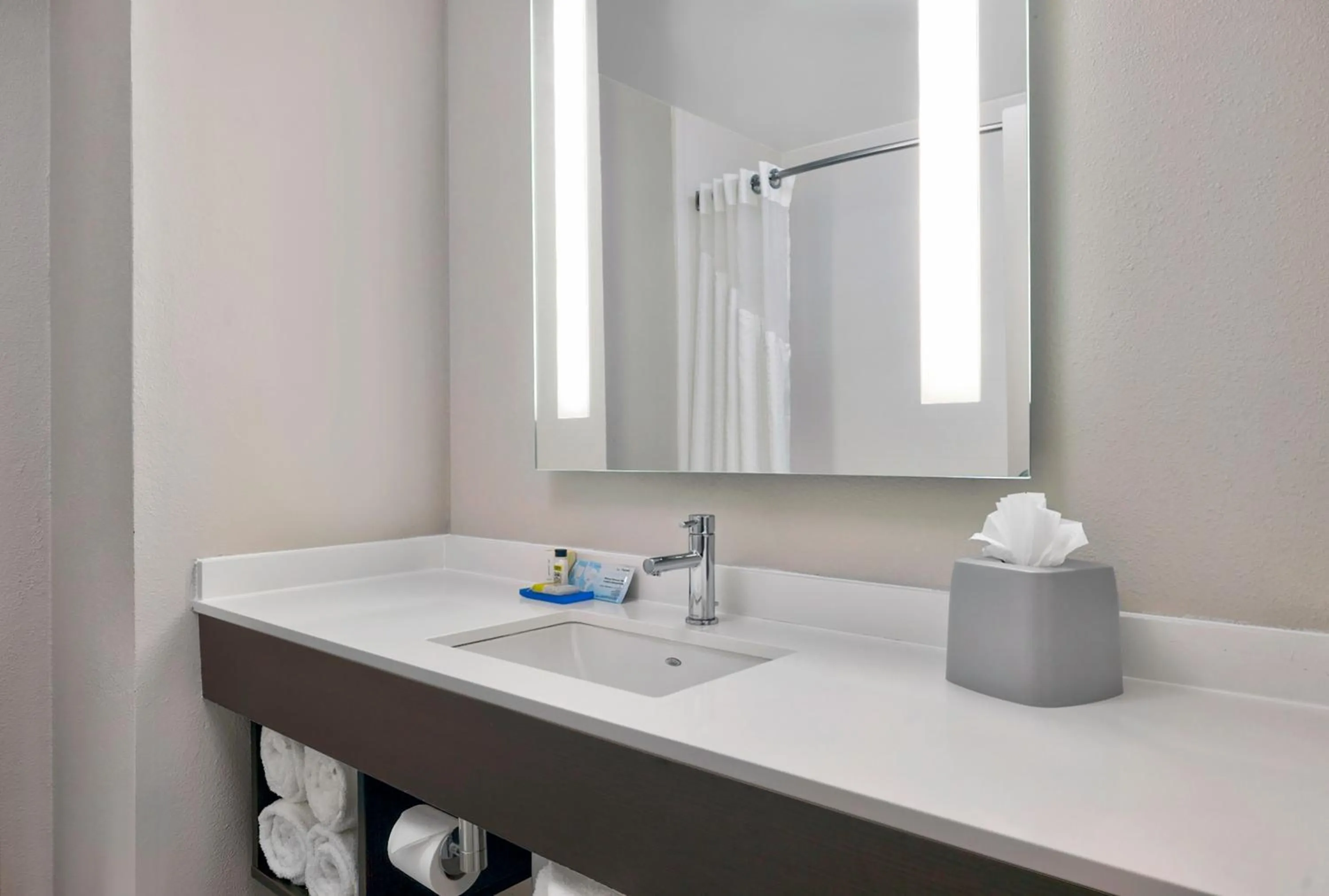Bathroom in Holiday Inn Express & Suites Kansas City Airport by IHG