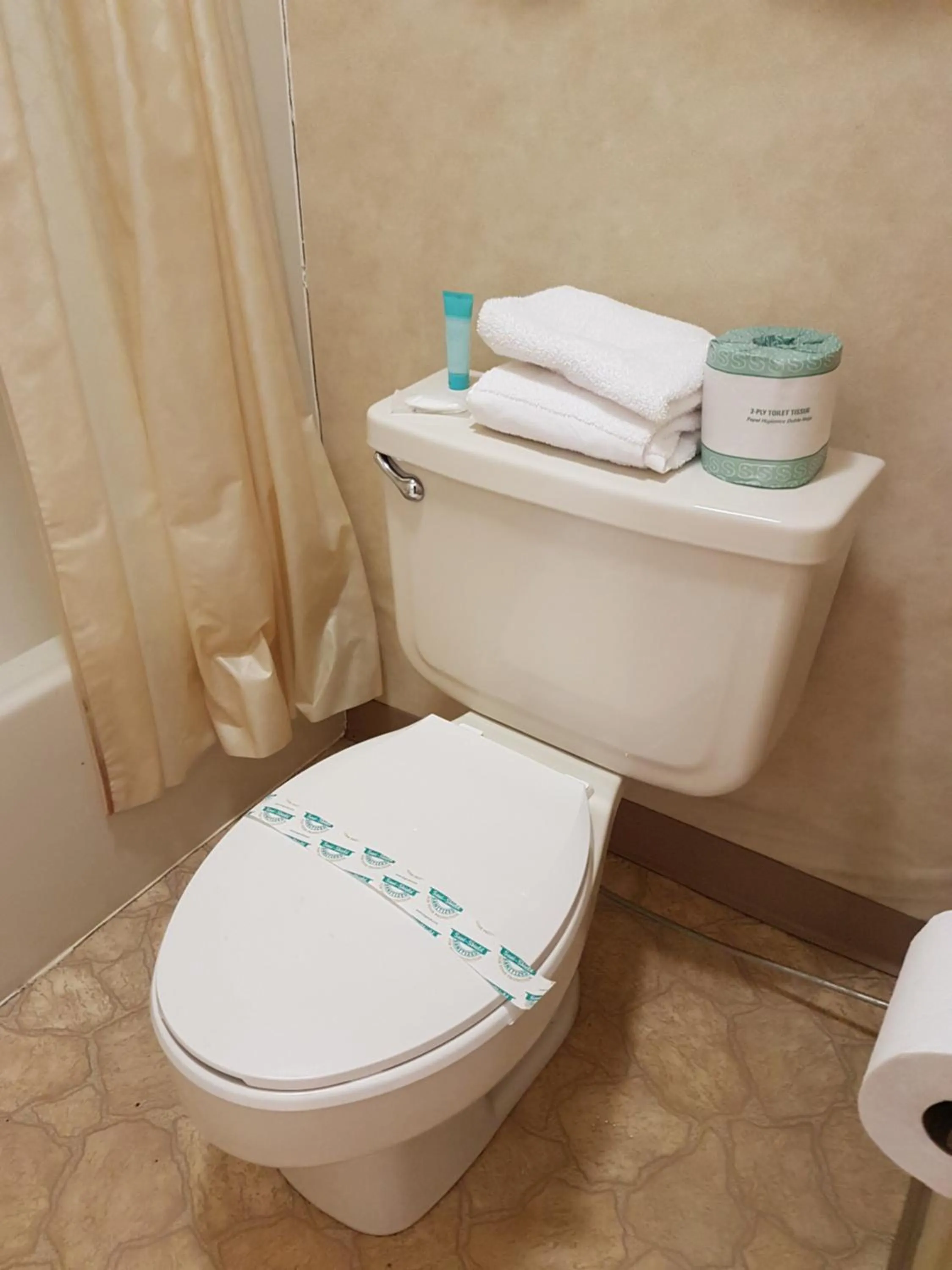 Toilet in Swiss Village Inn