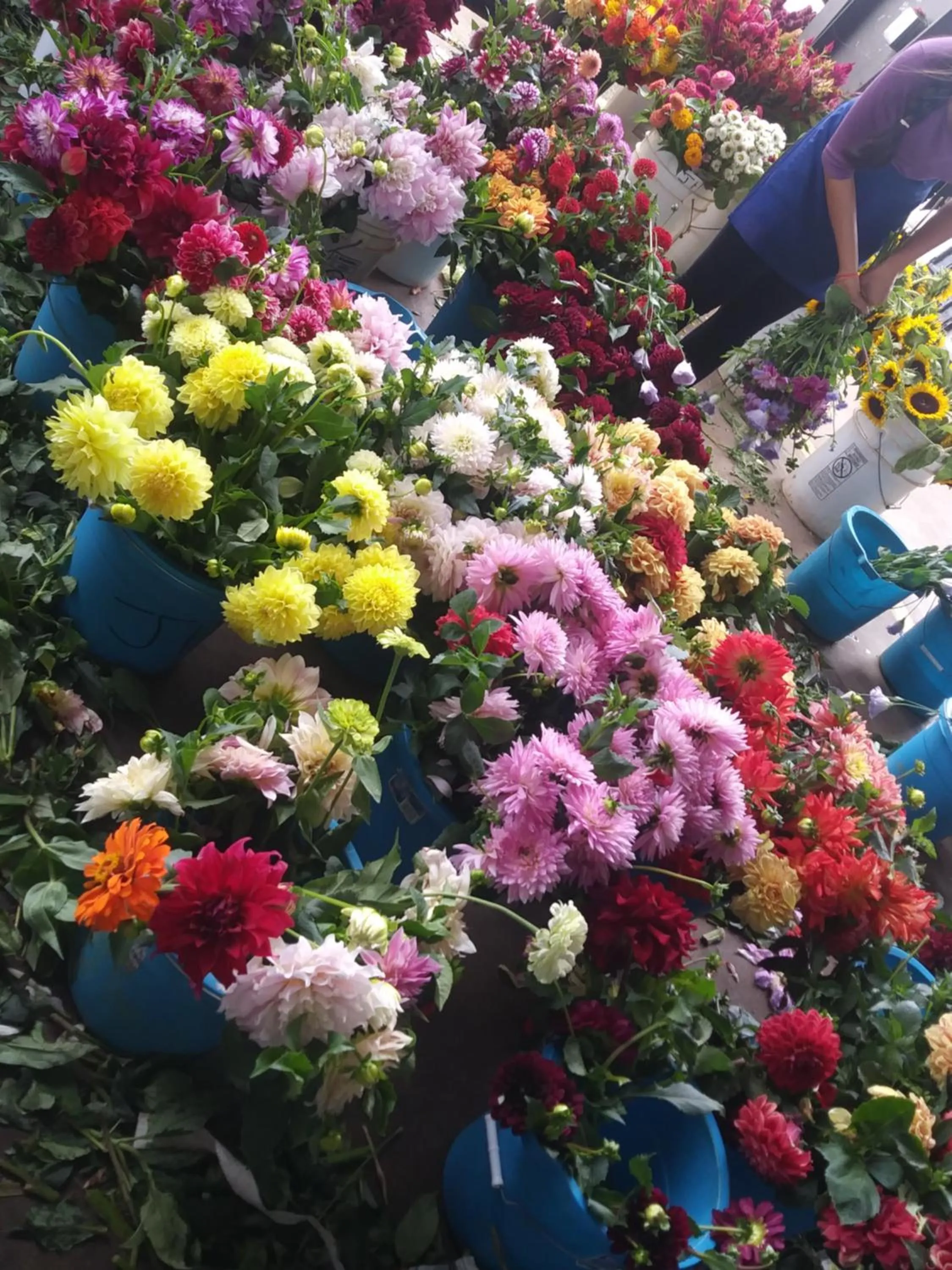 Activities in Baymont by Wyndham Charlotte-Airport Coliseum