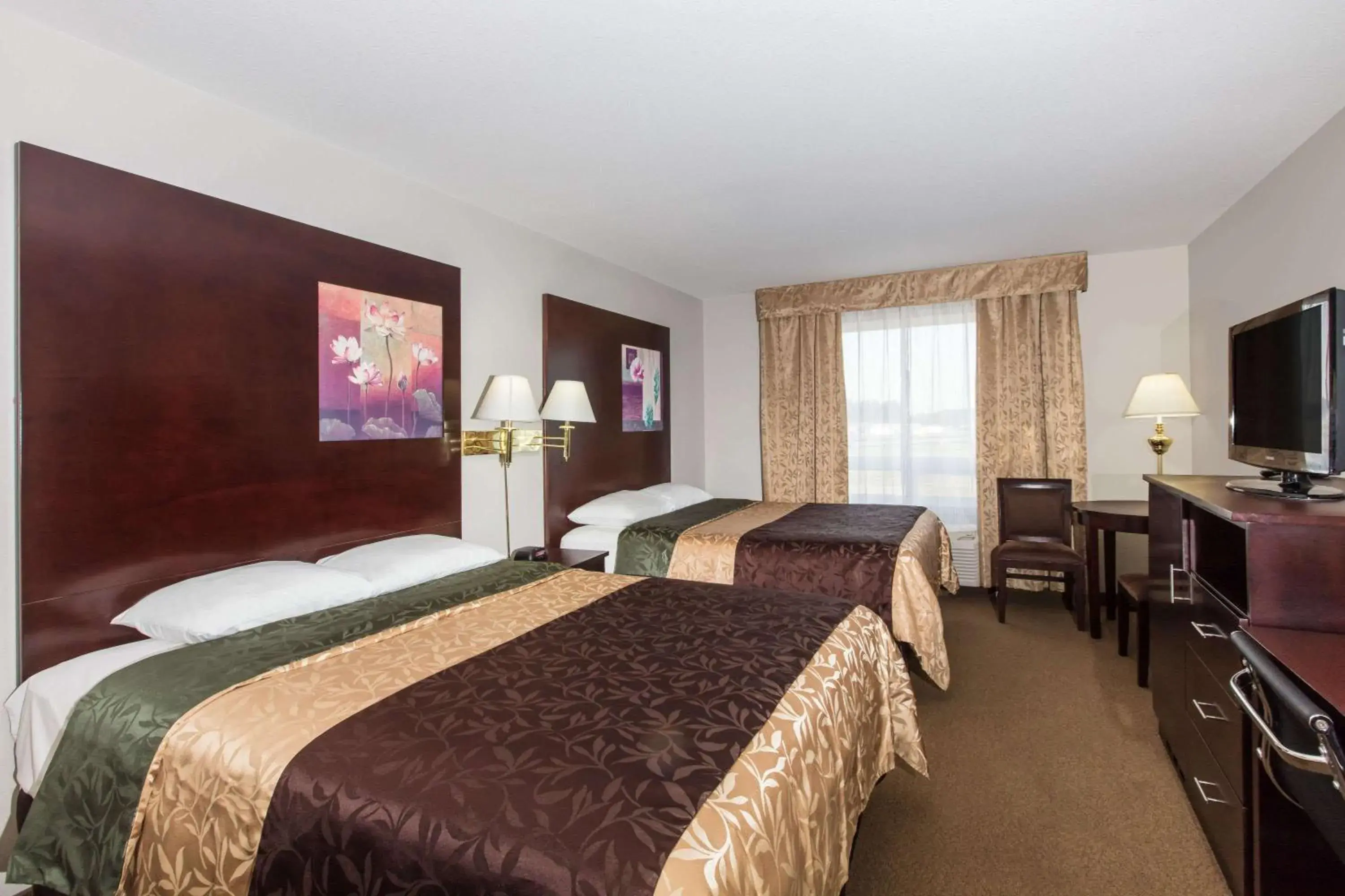 Photo of the whole room, Bed in Super 8 by Wyndham Innisfail Photo of the whole room, Bed in Super 8 by Wyndham Innisfail