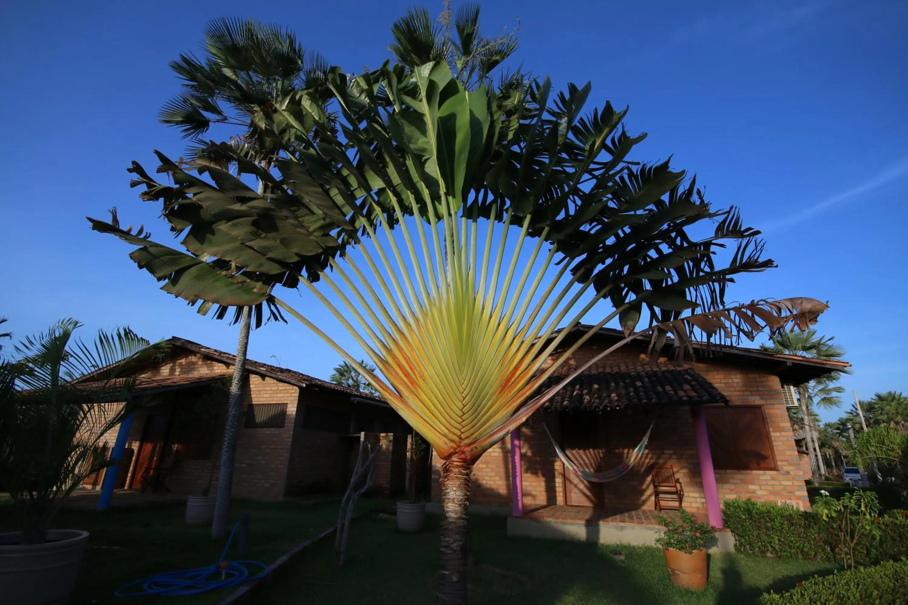 Decorative detail in Porto Preguiças Resort