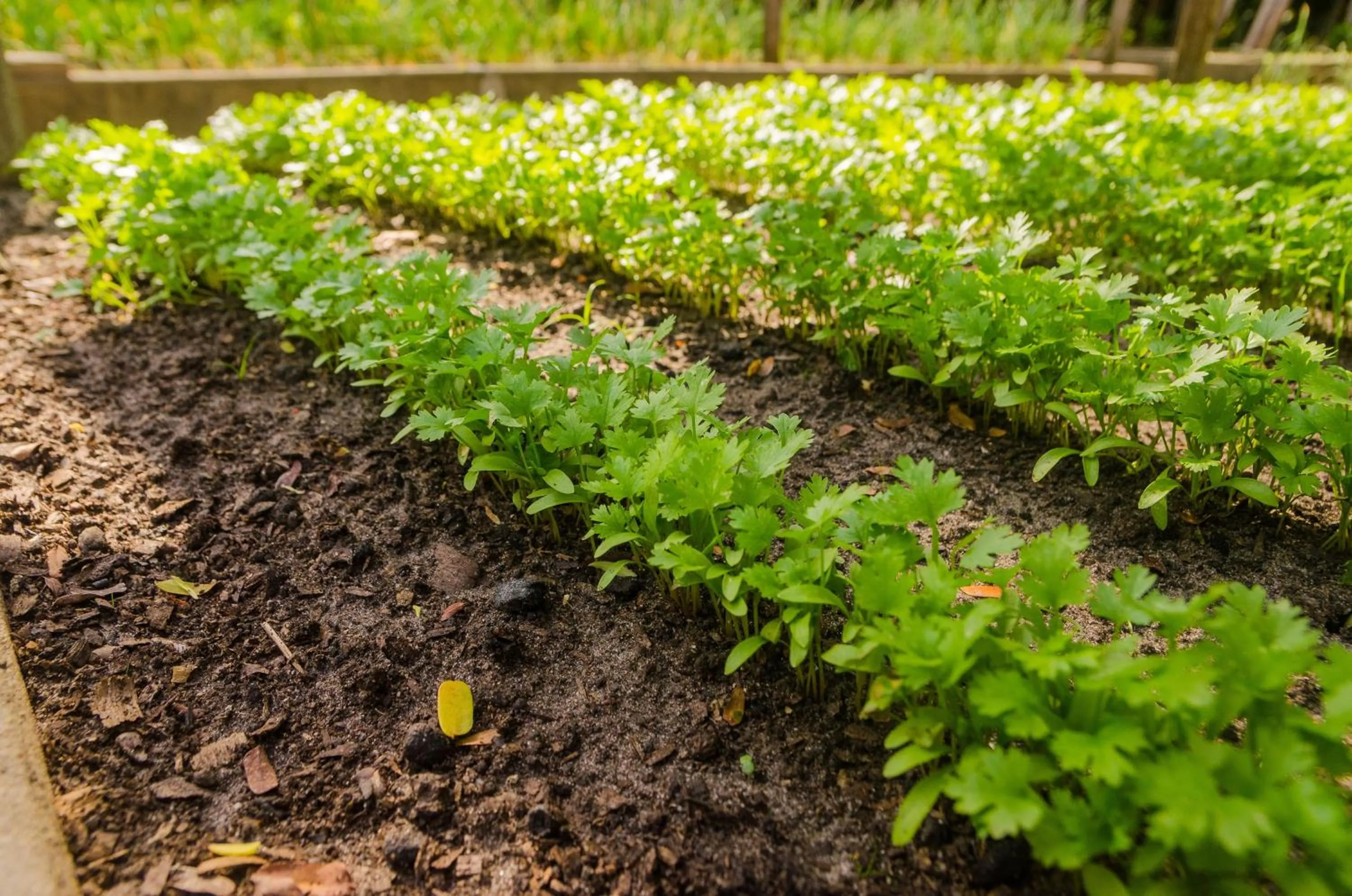 Porto Preguiças Resort
