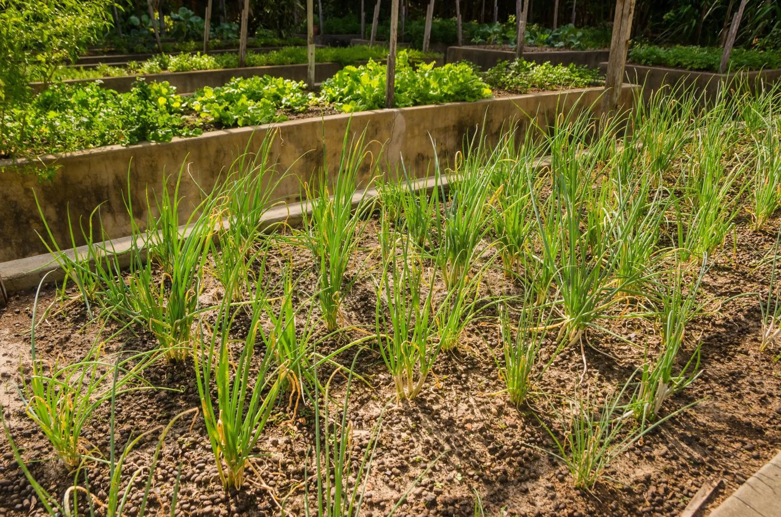 Porto Preguiças Resort