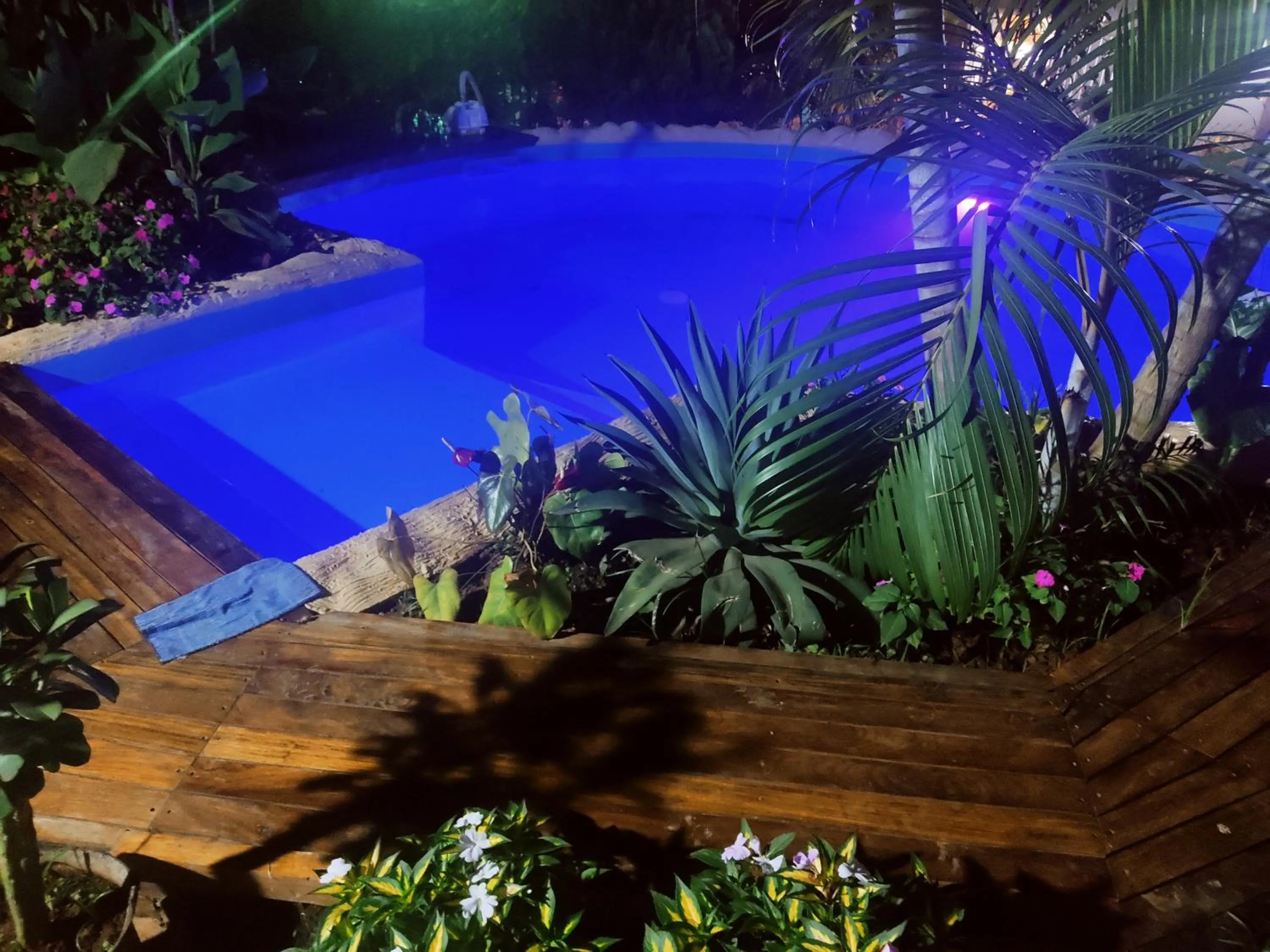 Swimming pool in Residence Jardin Tropical