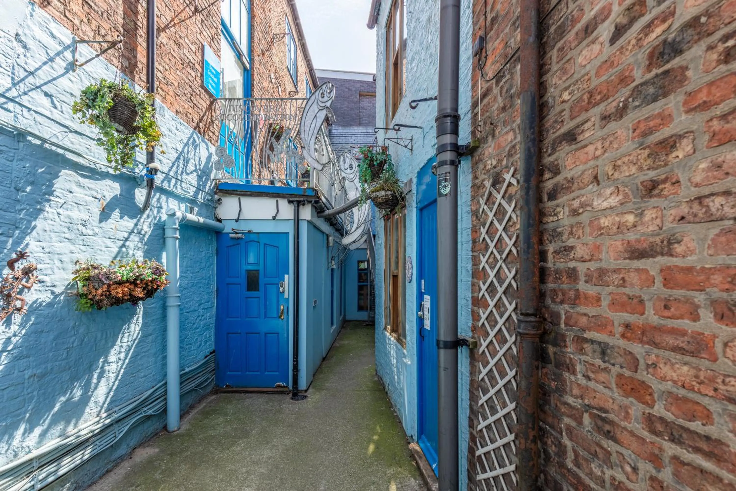 Street view in Discovery Accommodation