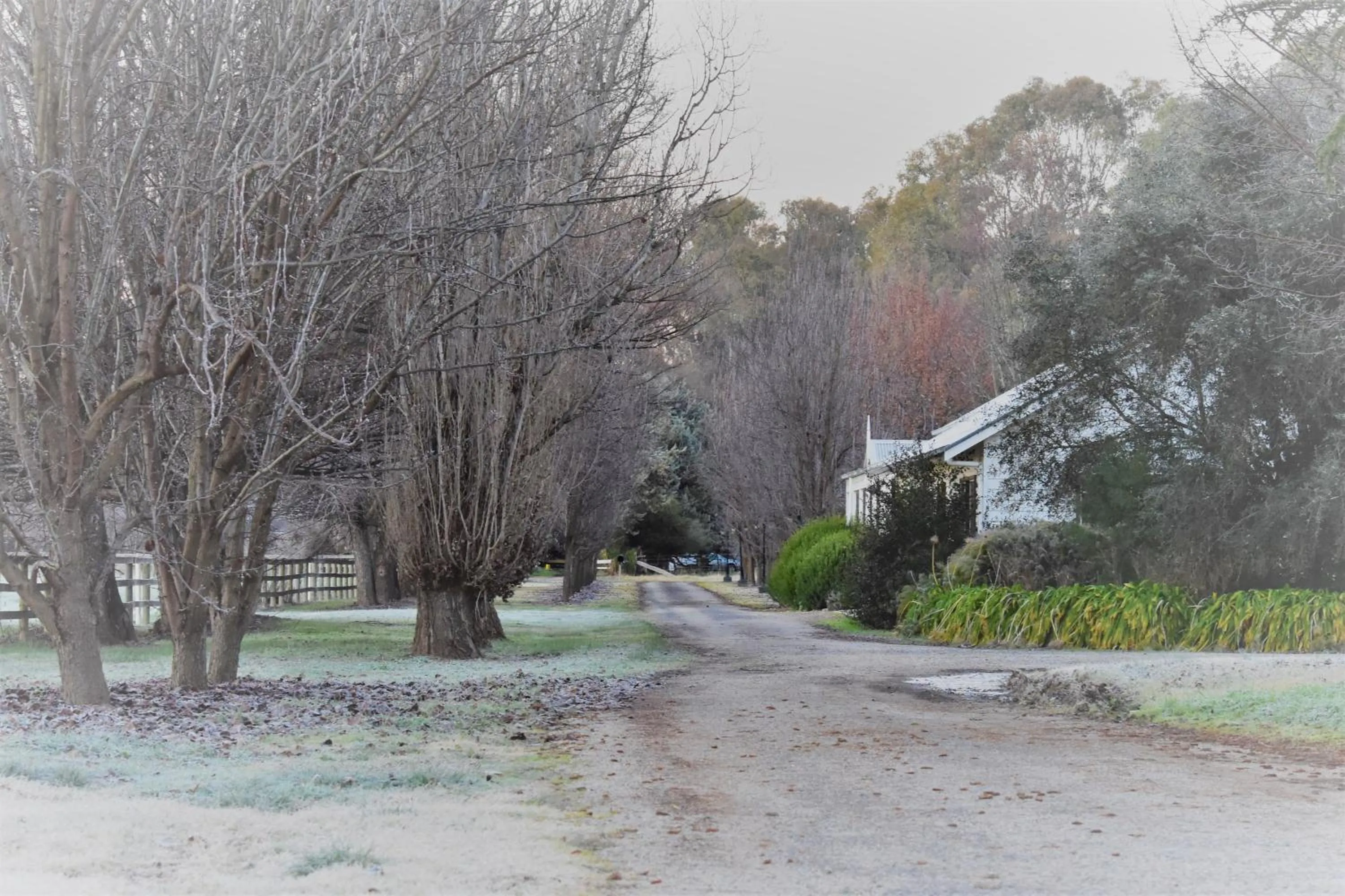 Winter in King River Cottage