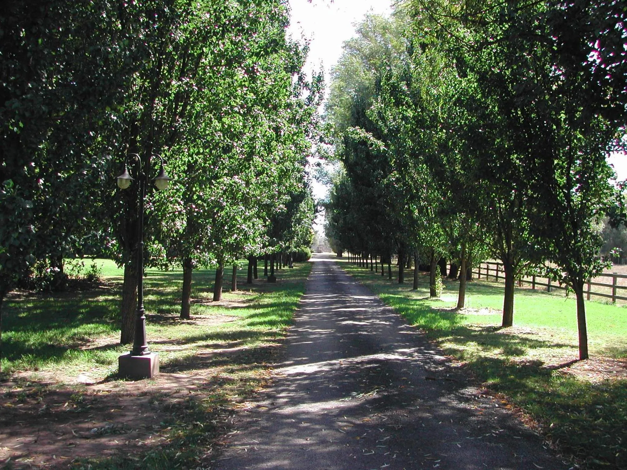 Summer in King River Cottage