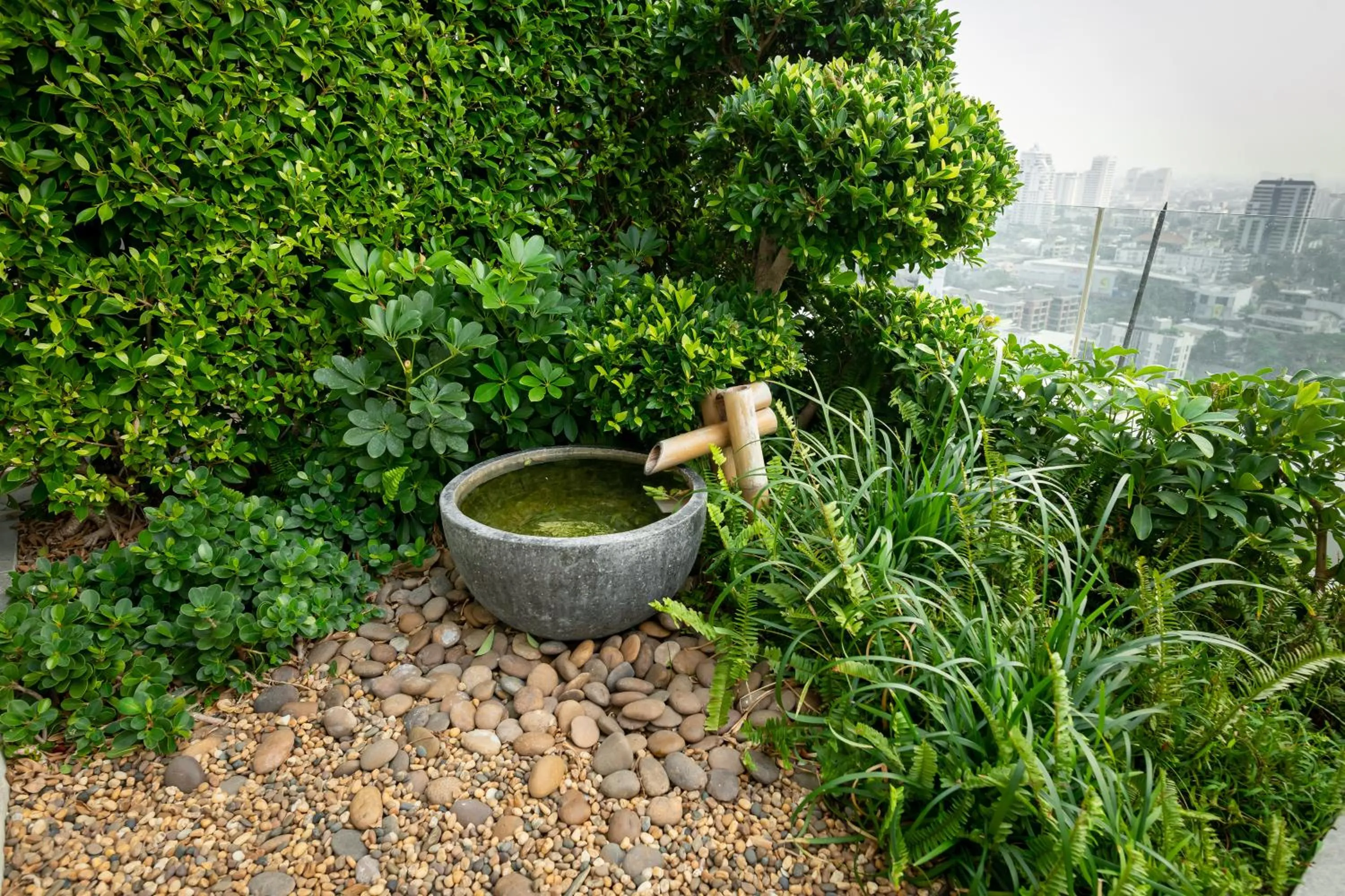 Natural landscape in Jasmine 59 Hotel