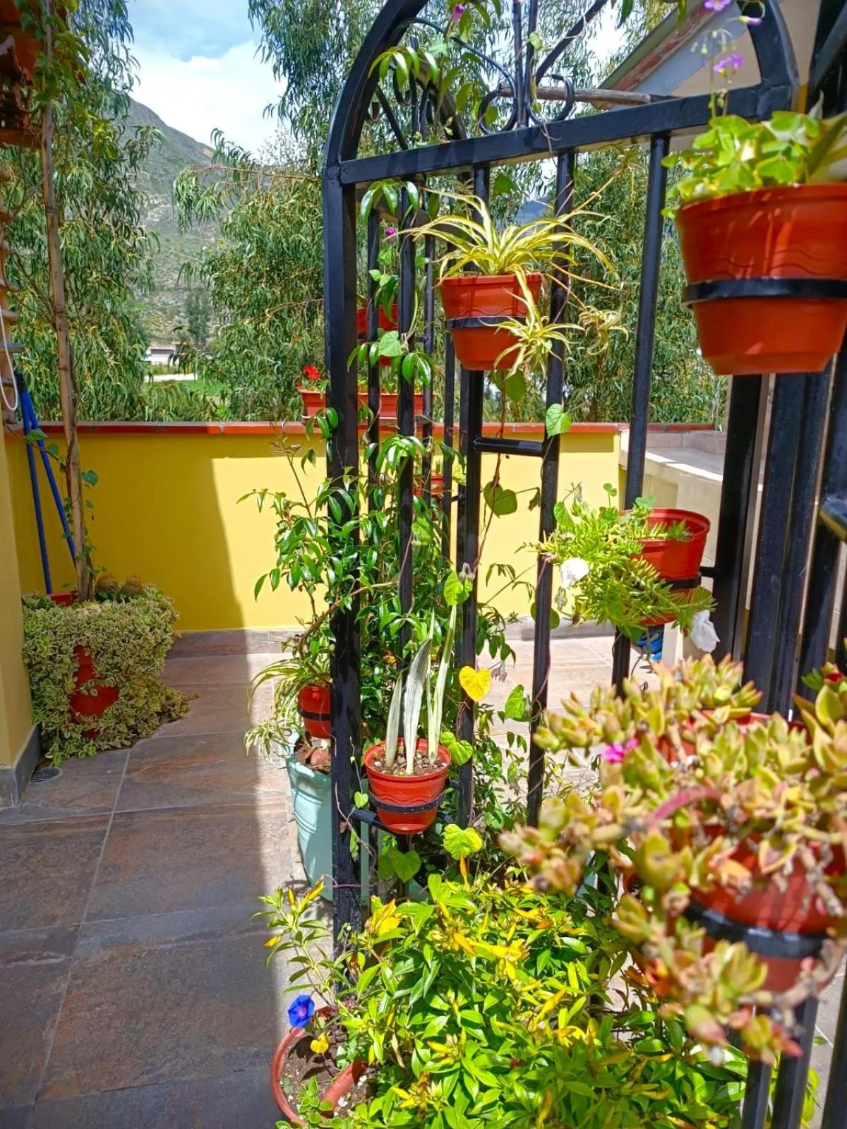 Garden in Departamentos Bellavista La Alborada Huaraz