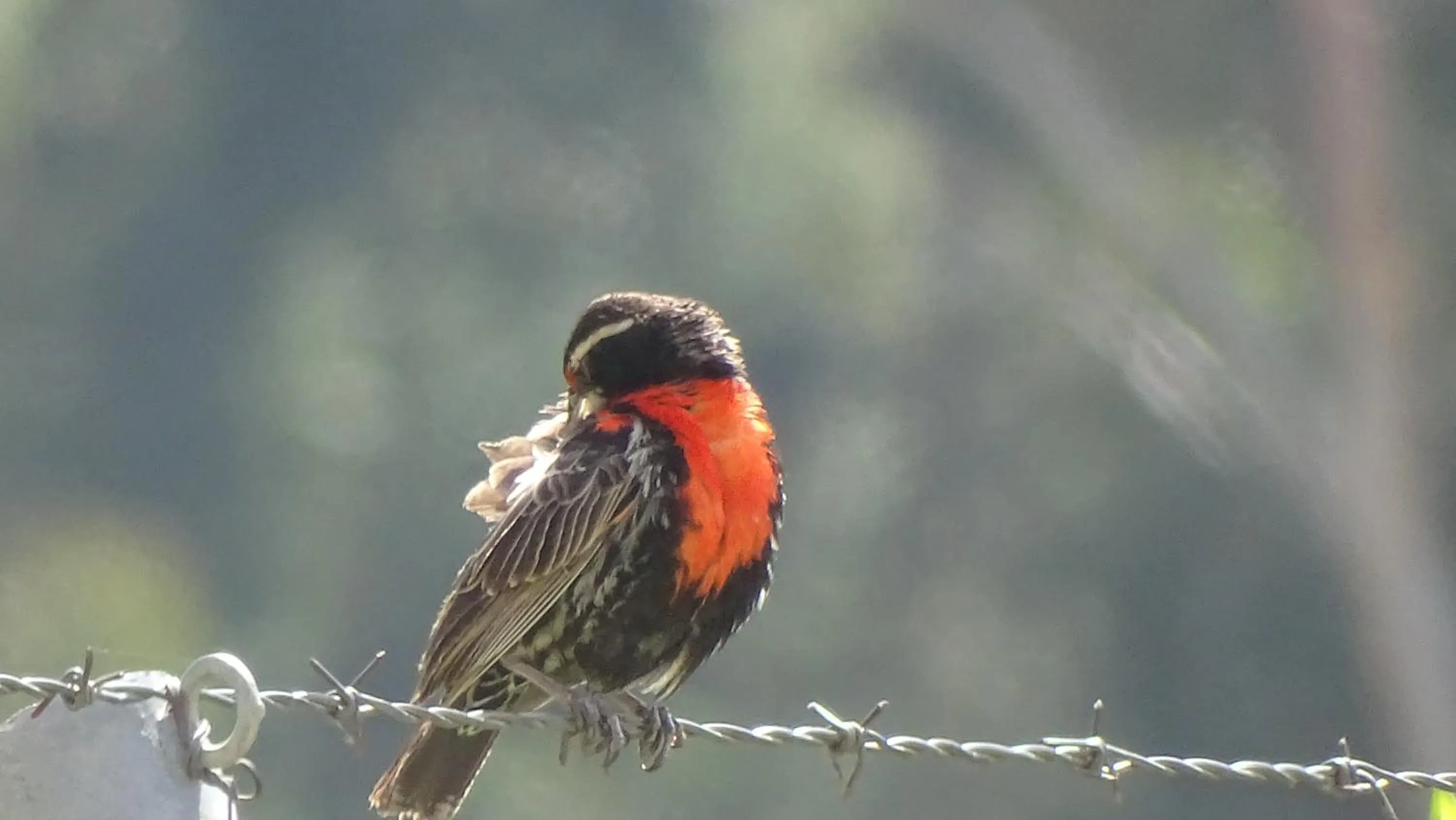 View (from property/room) in Departamentos Bellavista La Alborada Huaraz