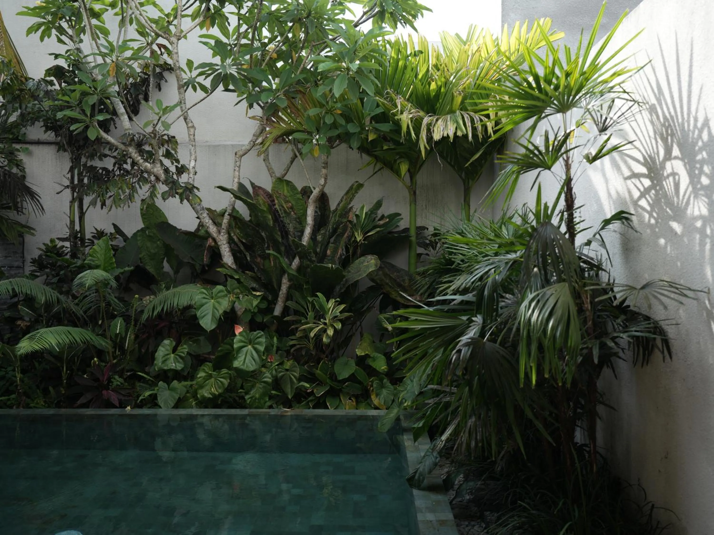 Natural landscape in Daun Lebar Villas