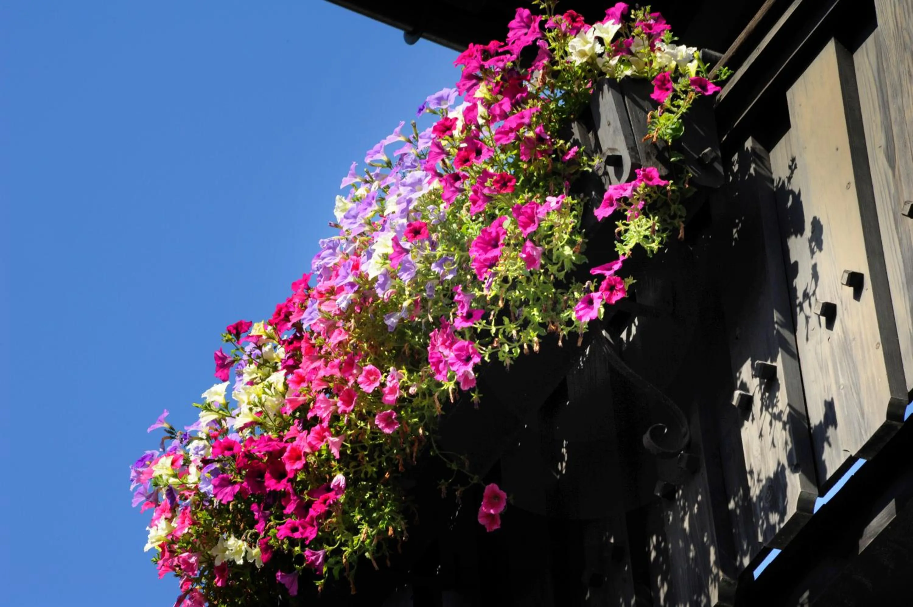 Decorative detail in Hotel Rösslwirt