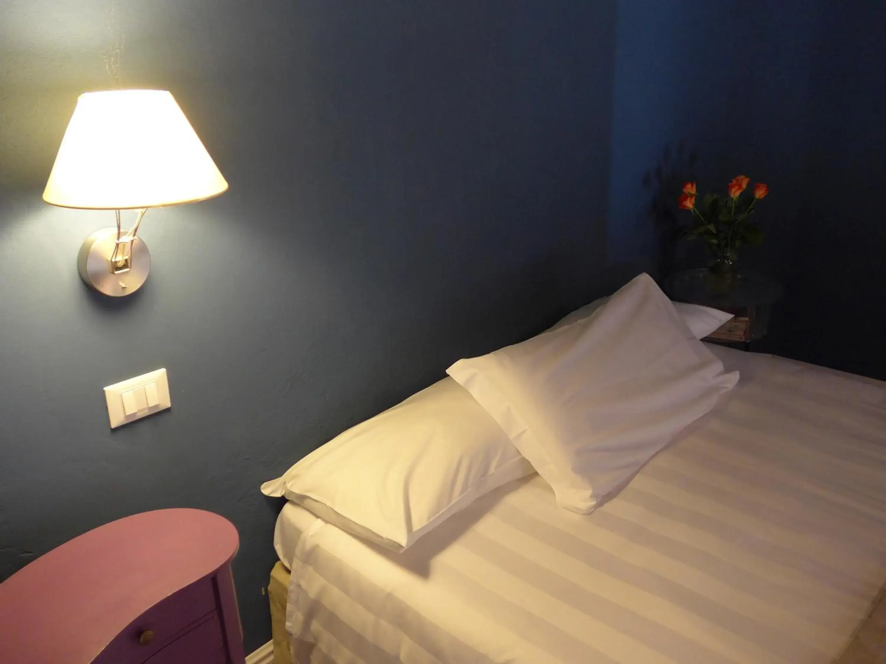 Double Room - single occupancy in B&B Casa Fenoglio Double Room - single occupancy in B&B Casa Fenoglio