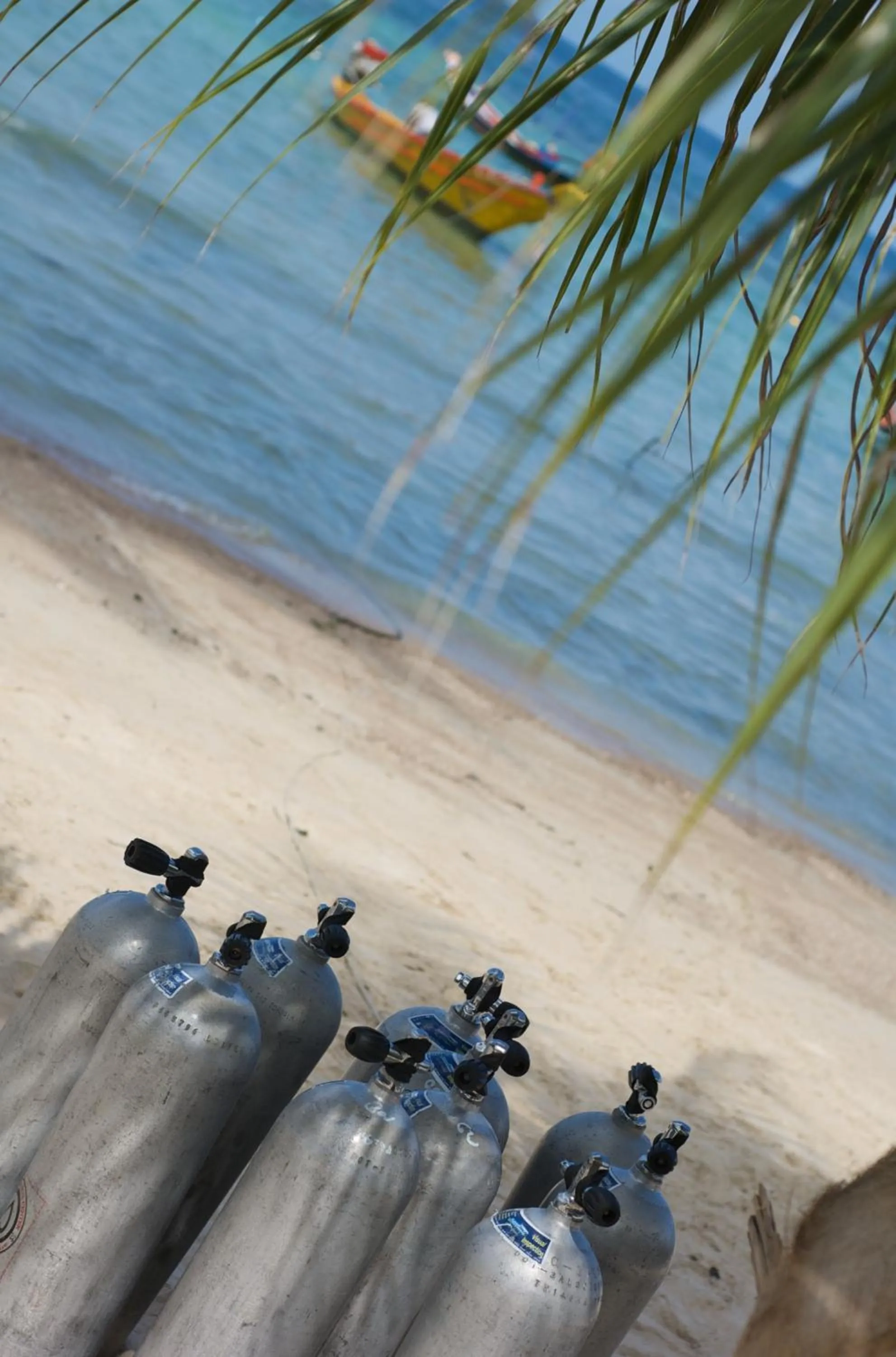 Beach in Lotus Paradise Resort - SHA PLUS