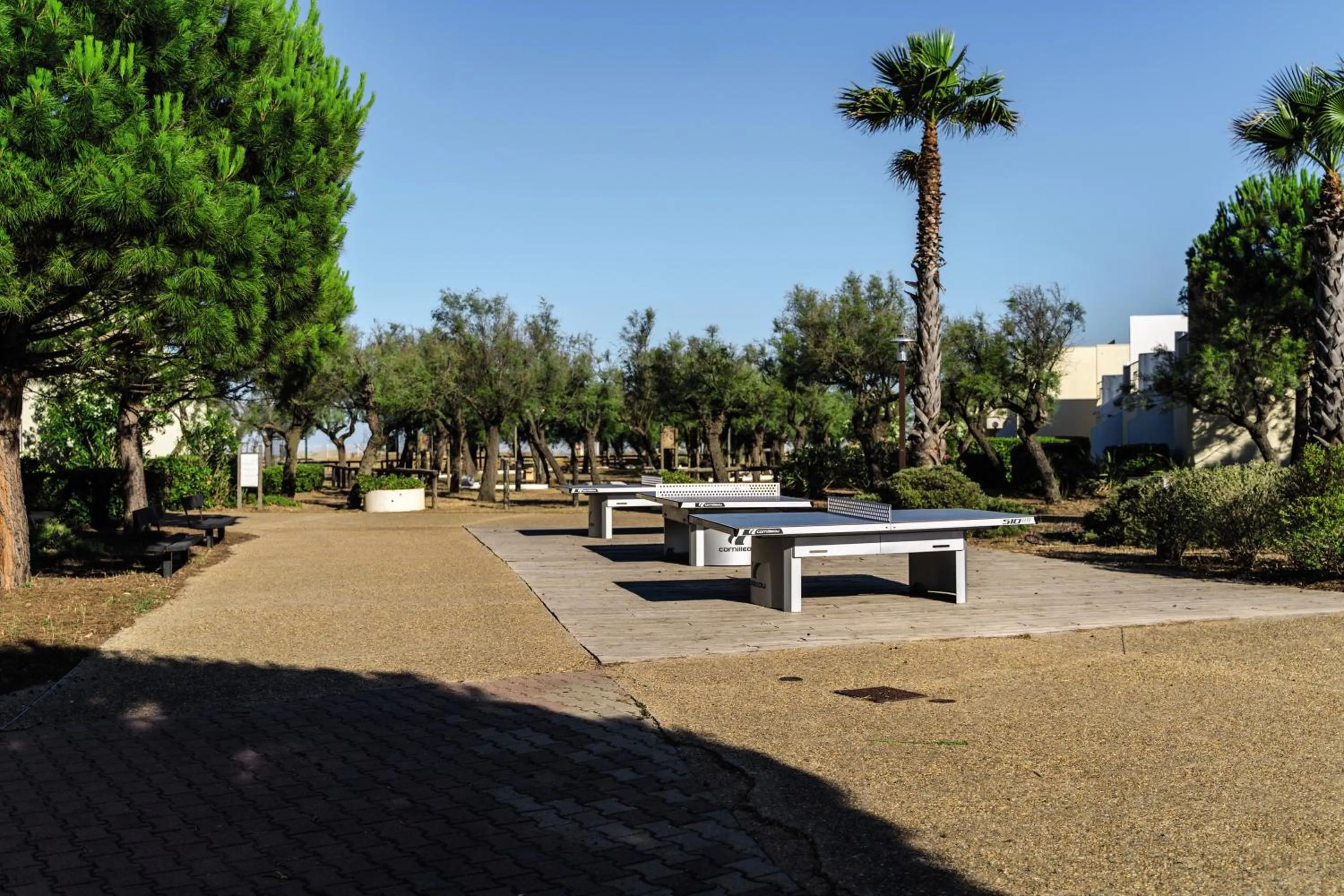 Activities in Belambra Clubs Résidence Gruissan - Les Ayguades