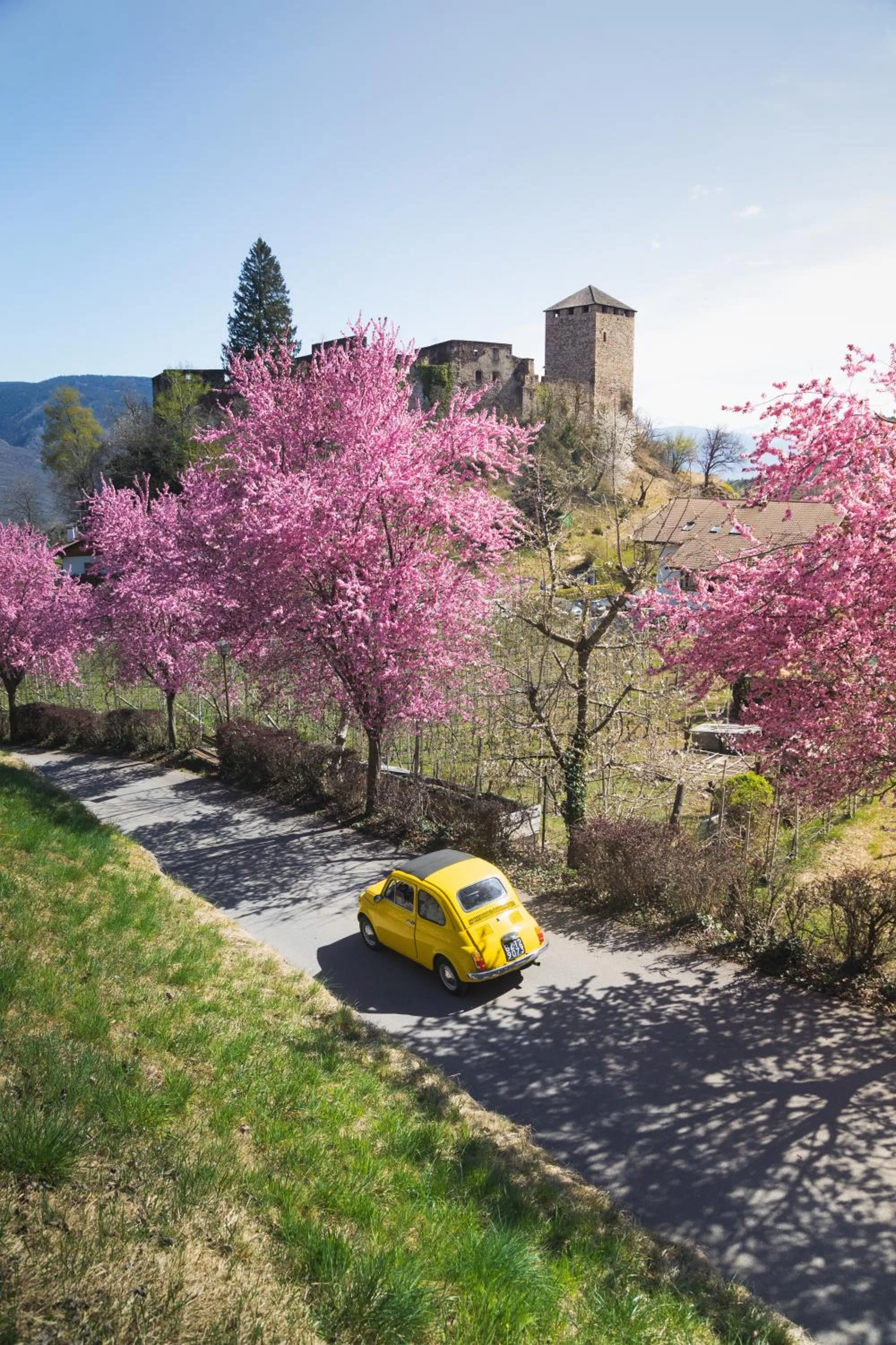 Spring in Der Waldhof