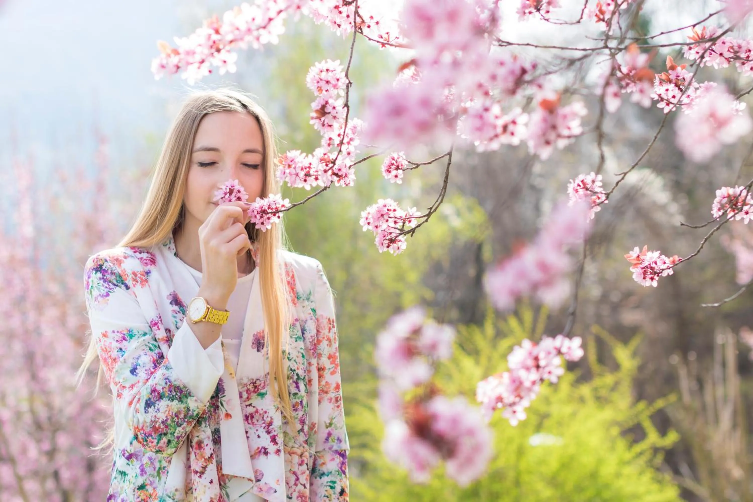 Spring in Der Waldhof