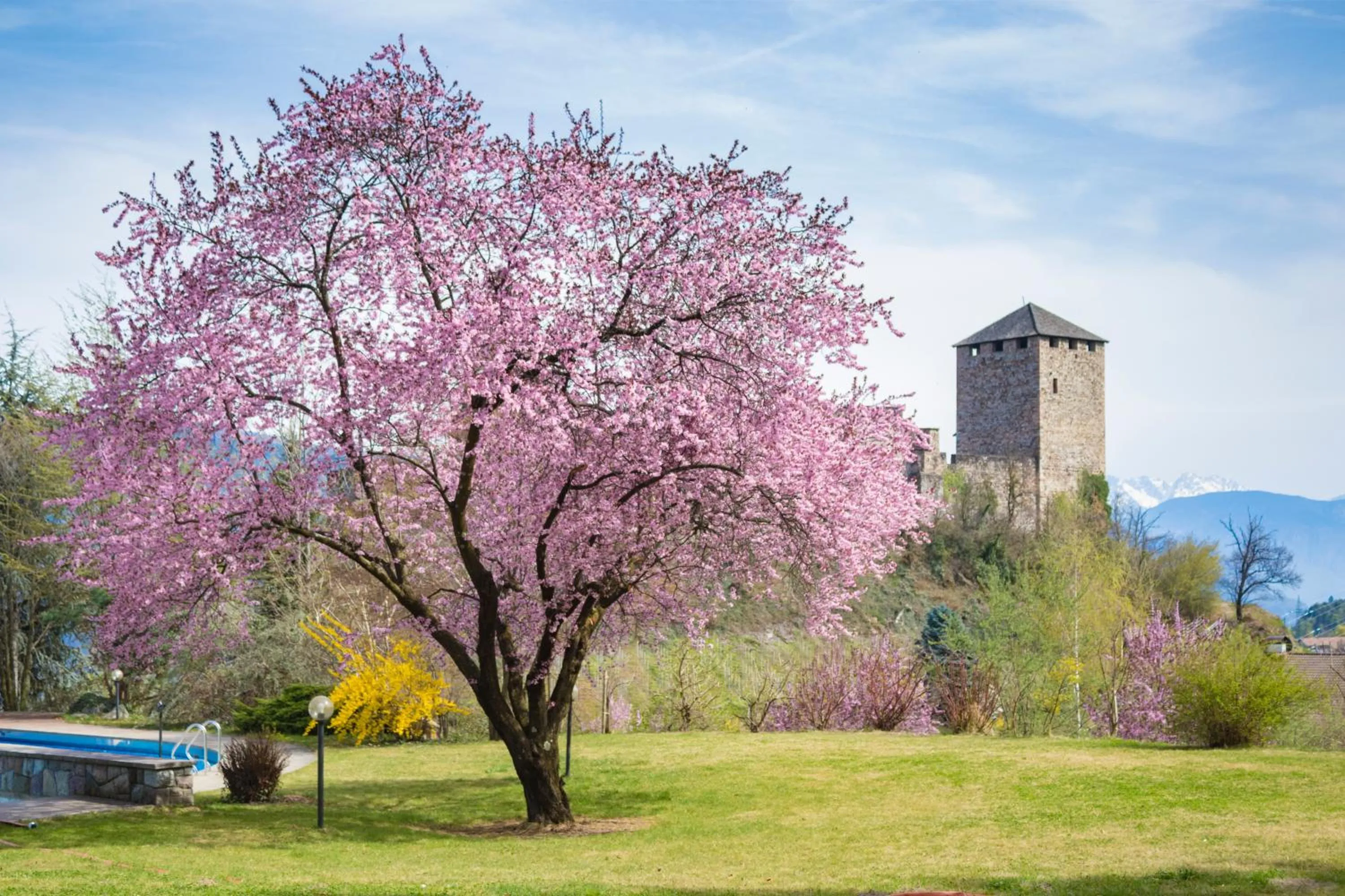Nearby landmark in Der Waldhof