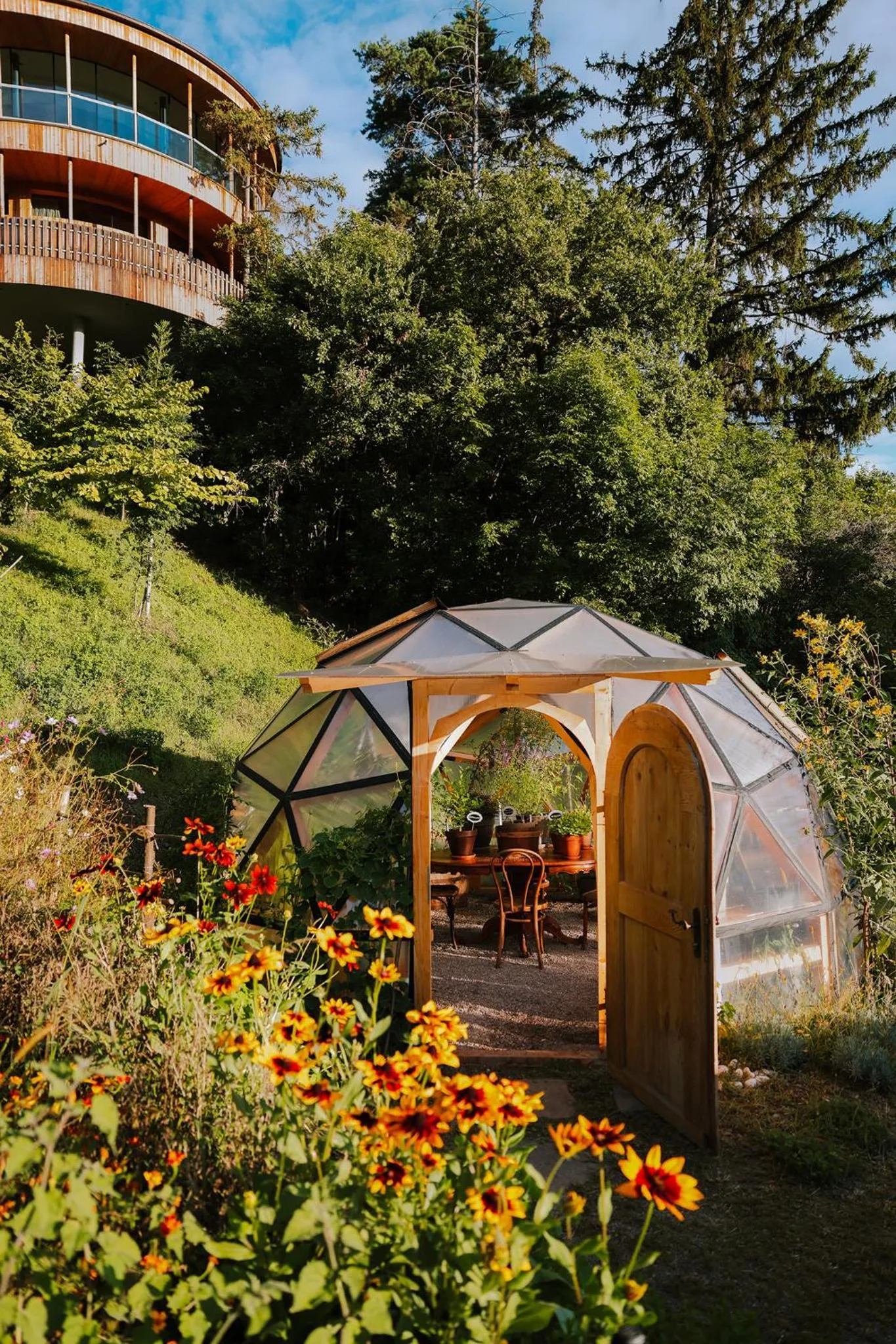 Summer in Hotel Der Waldhof