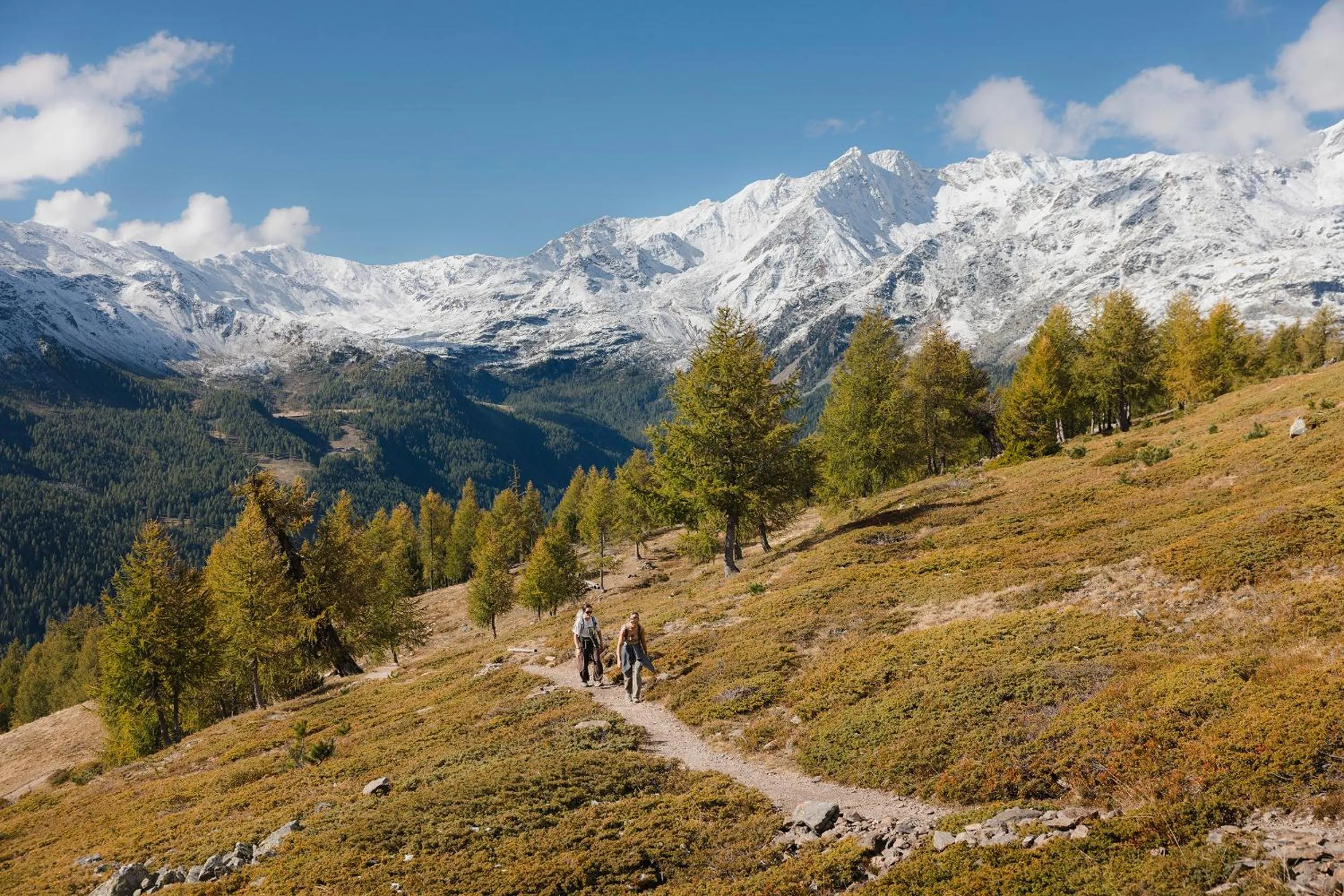 Activities in Hotel Der Waldhof