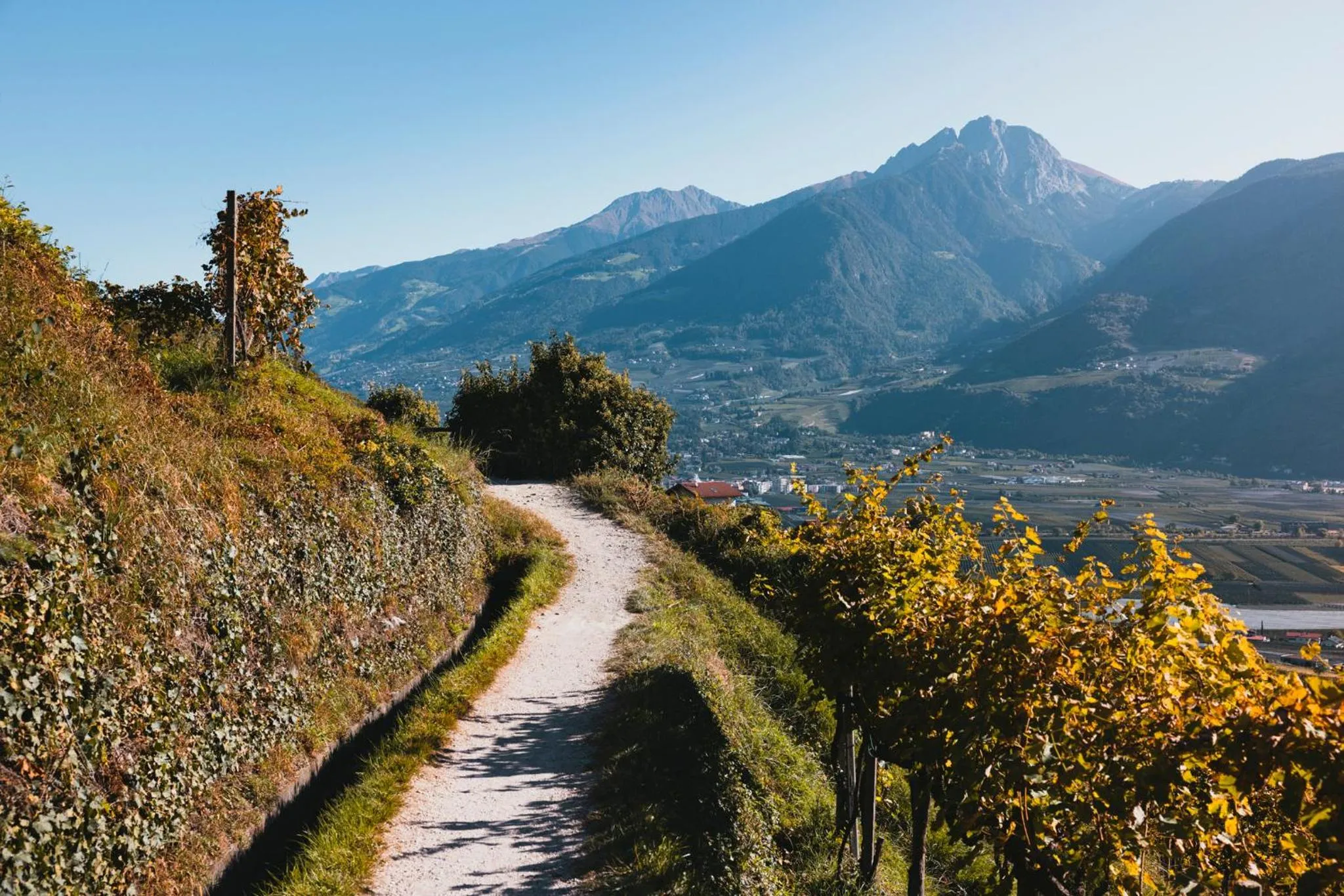 Hiking in Der Waldhof