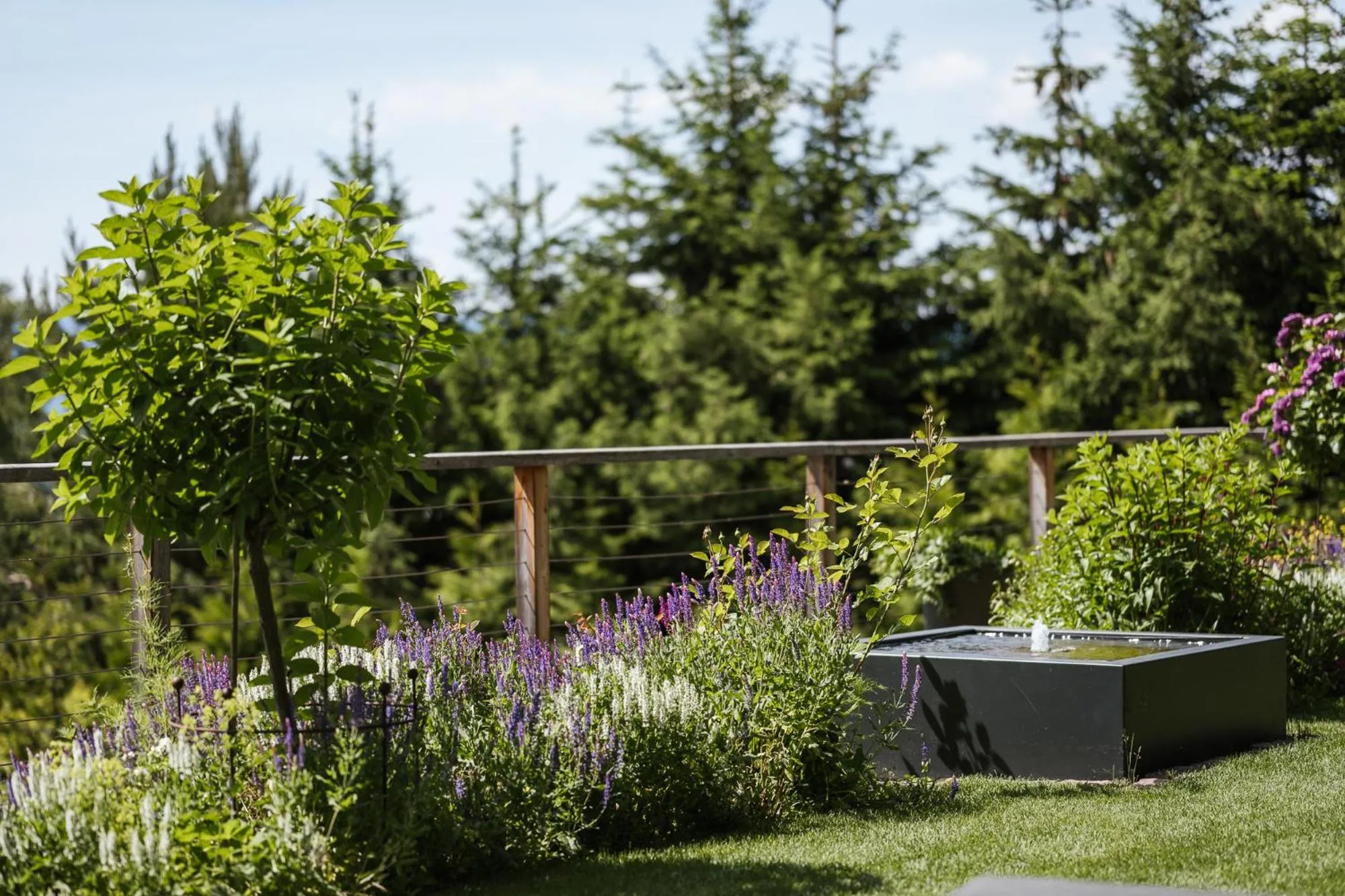 Garden in Hotel Hirzer 2781