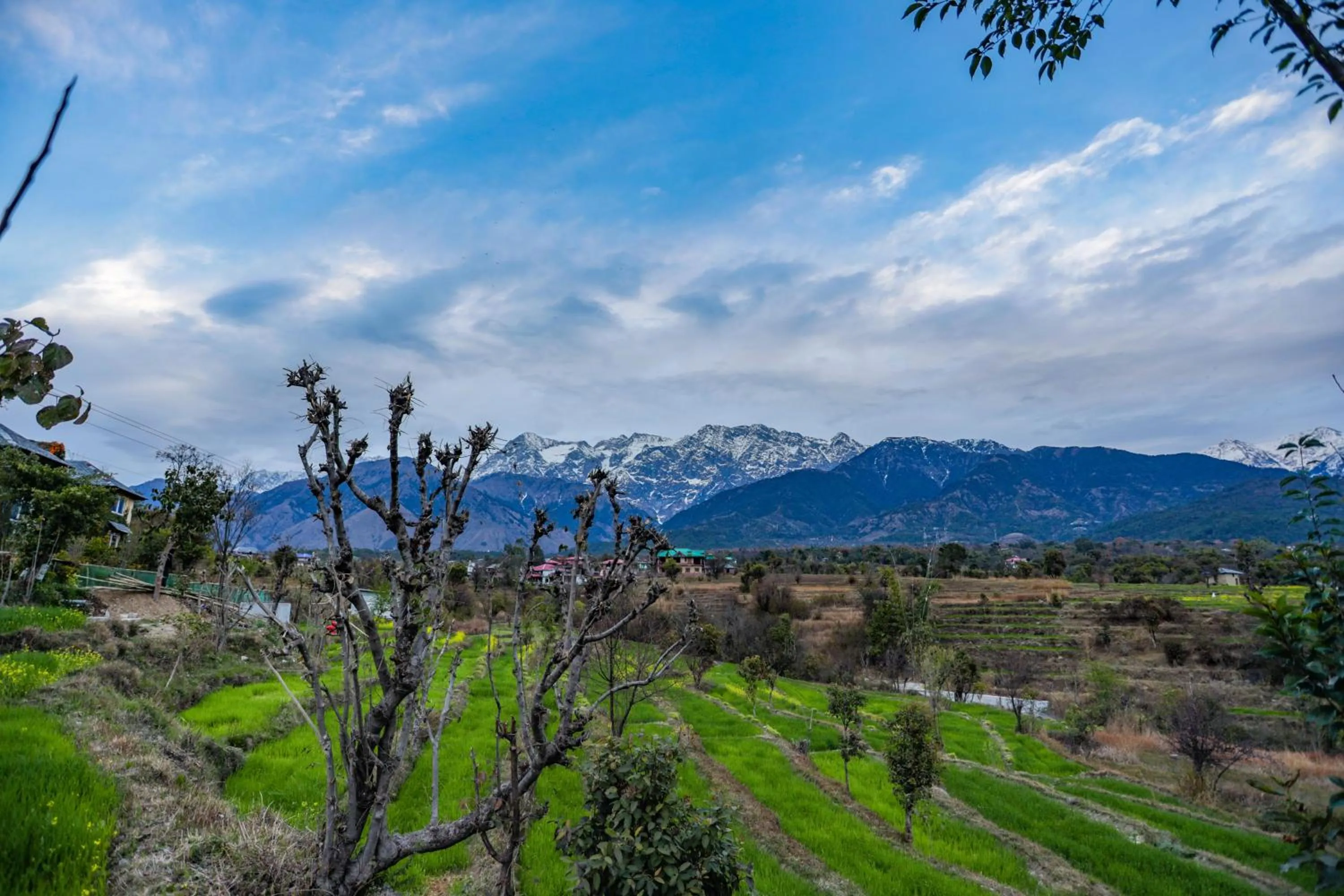 Natural landscape in Seclude Palampur