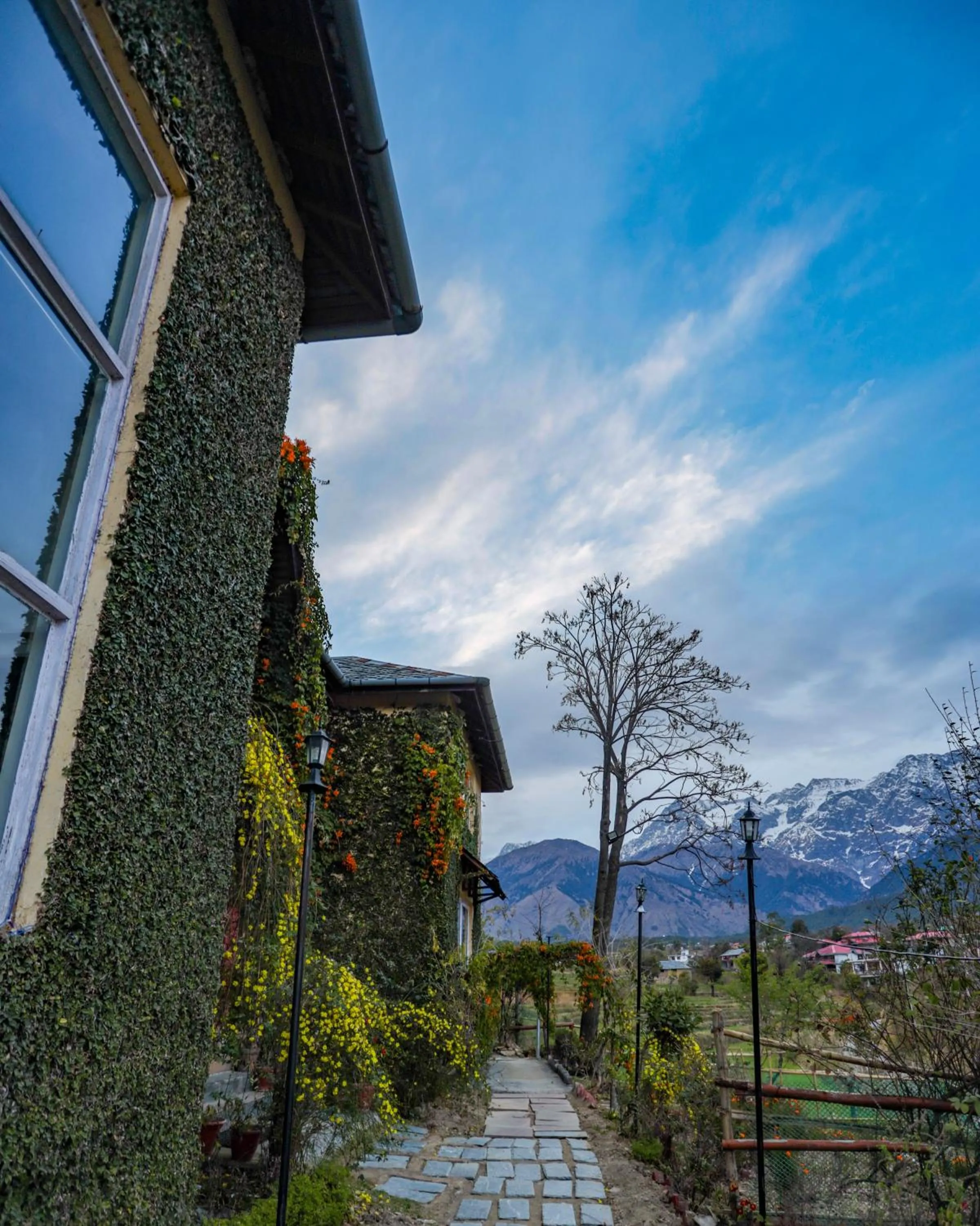 Property building in Seclude Palampur