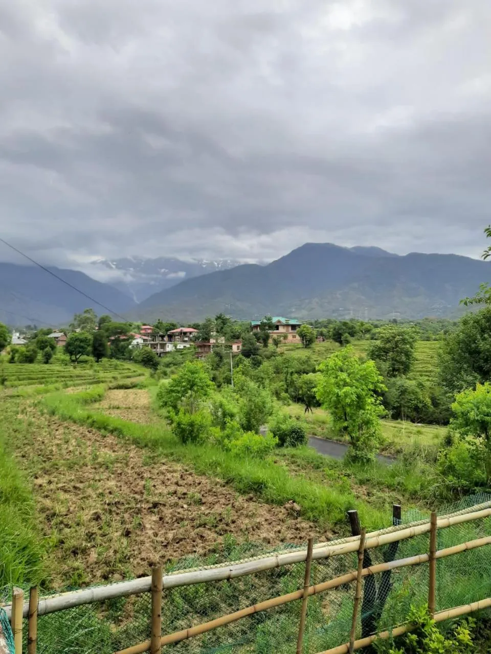 View (from property/room) in Seclude Palampur