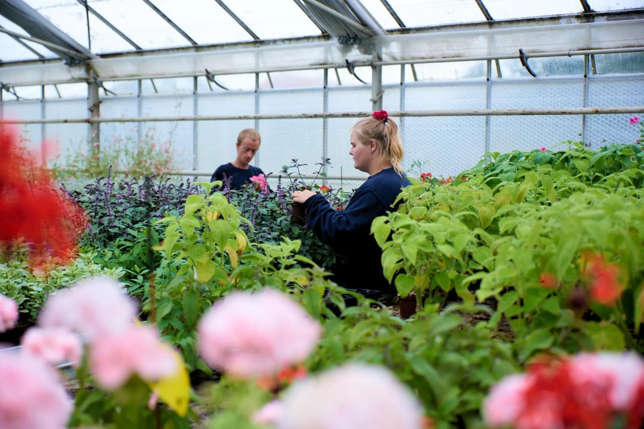 Danhostel Vitskøl Kloster