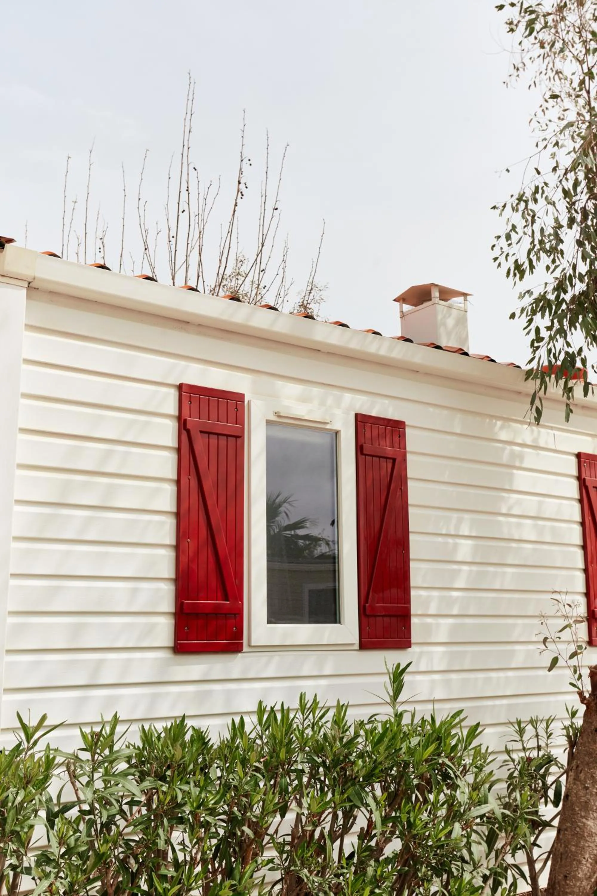 Bungalow Buda Premium (5 p.) in TAIGA Delta de l'Ebre