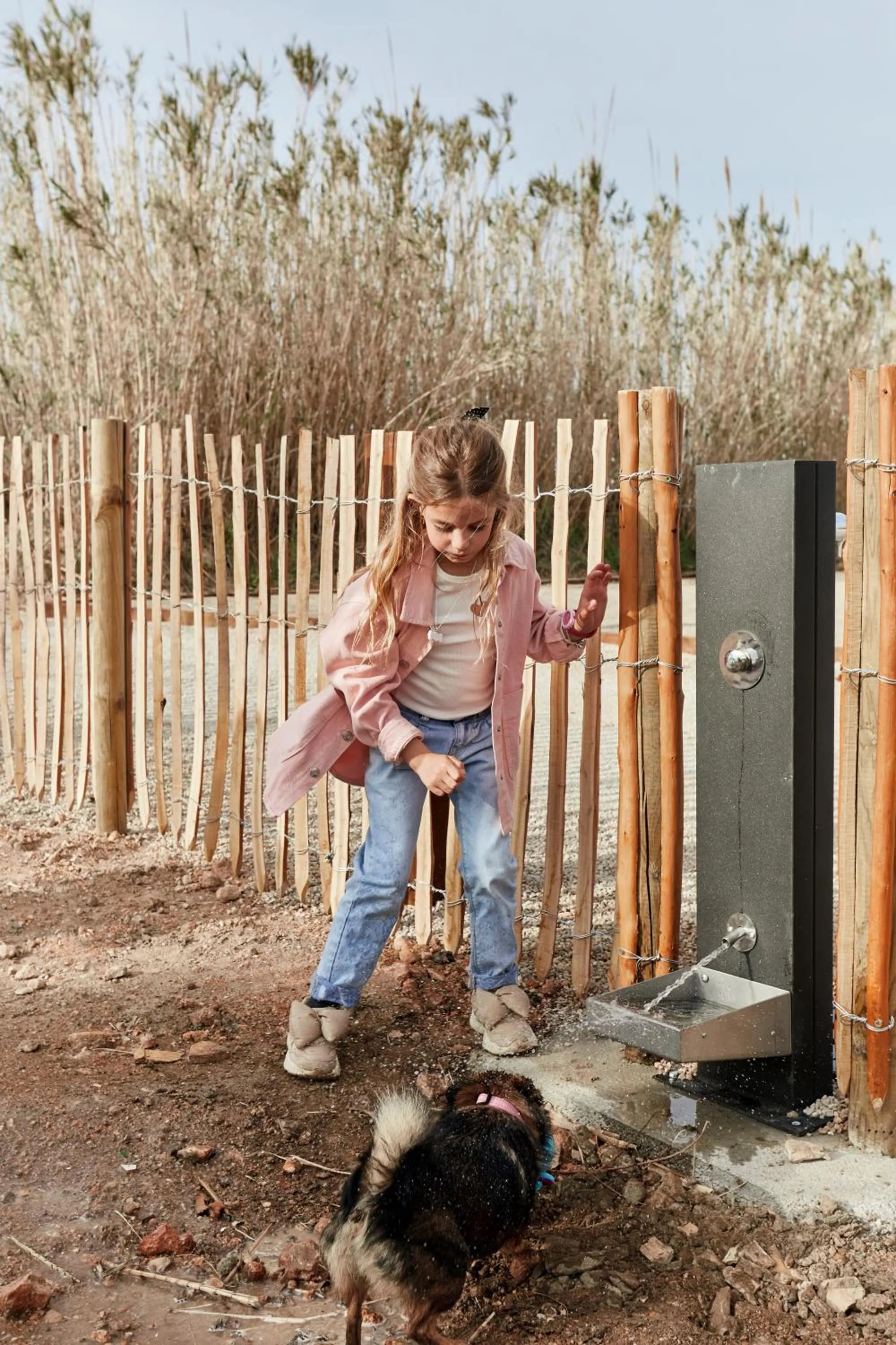 Pets in TAIGA Delta de l'Ebre
