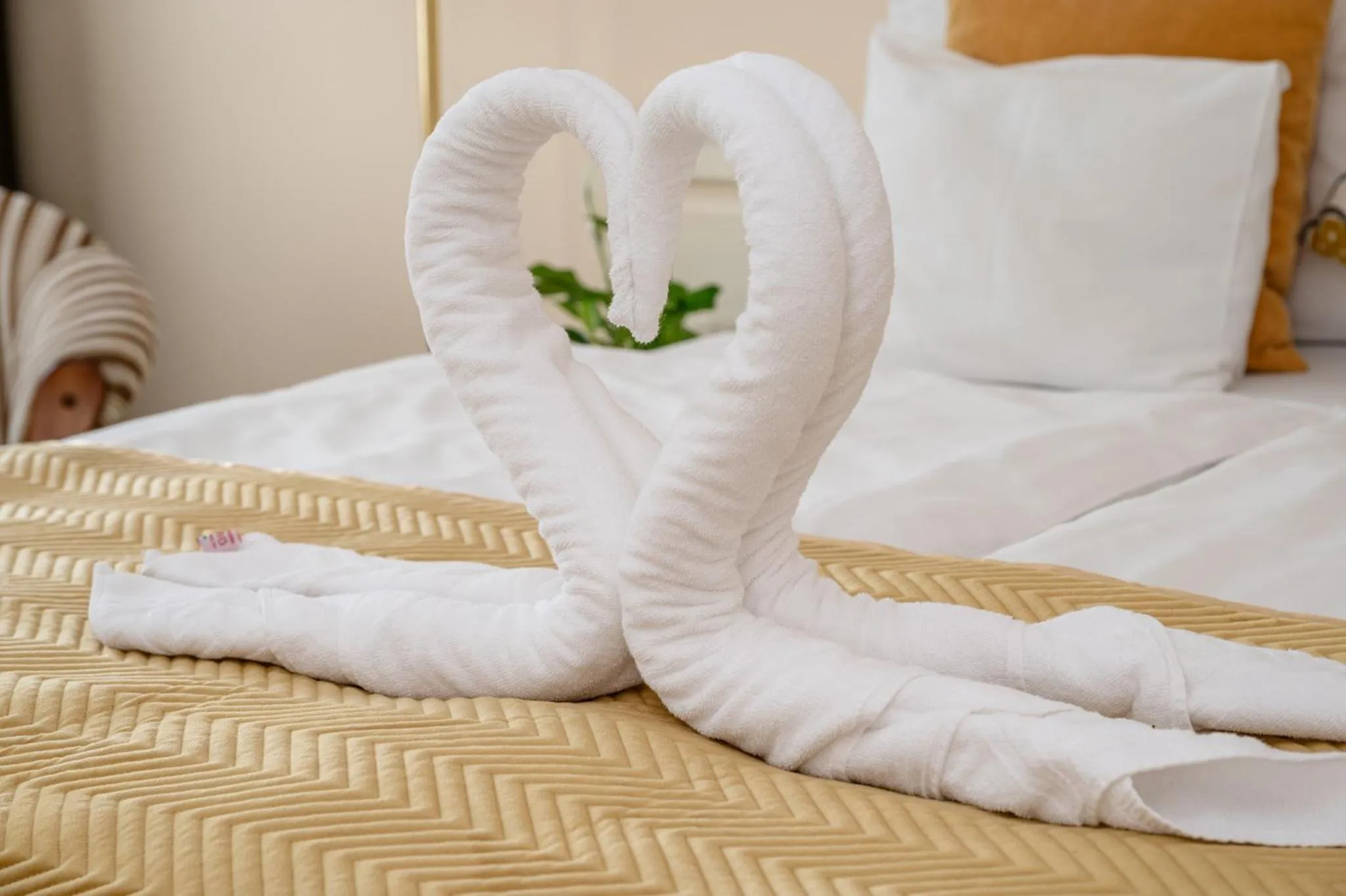 Photo of the whole room, Bed in Calimbra Wellness Hotel Superior