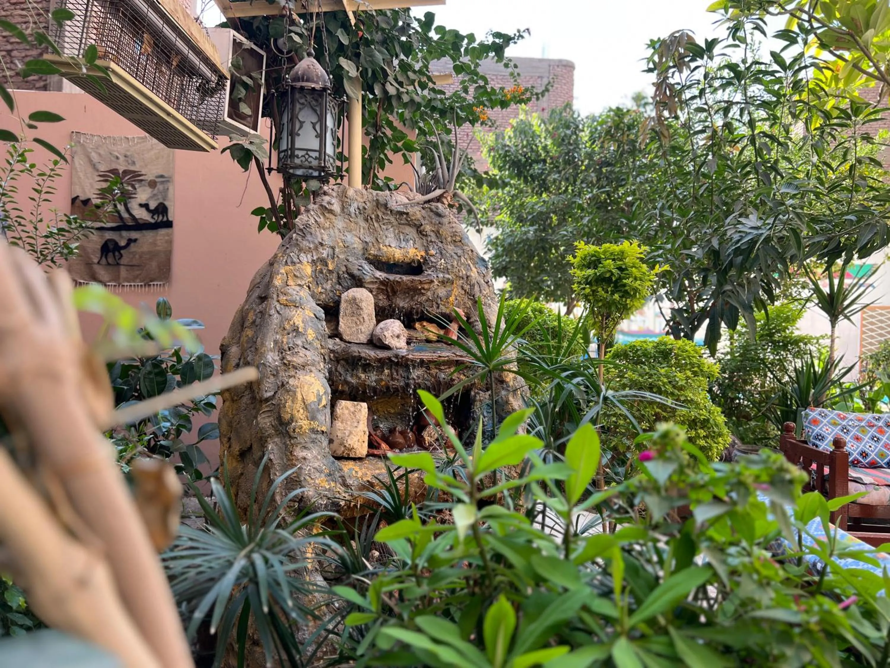 Garden view in Amon Hotel