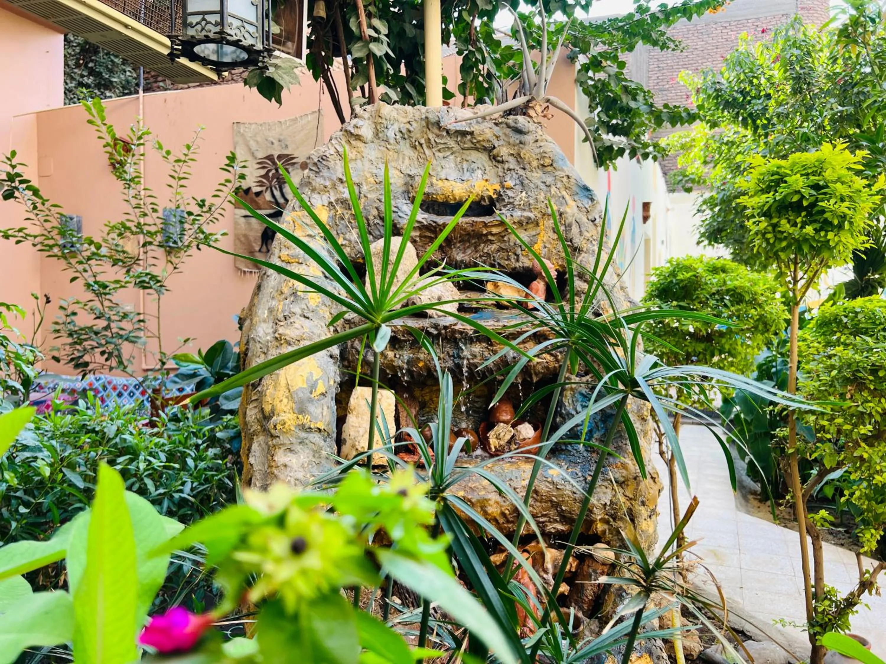 Garden view in Amon Hotel