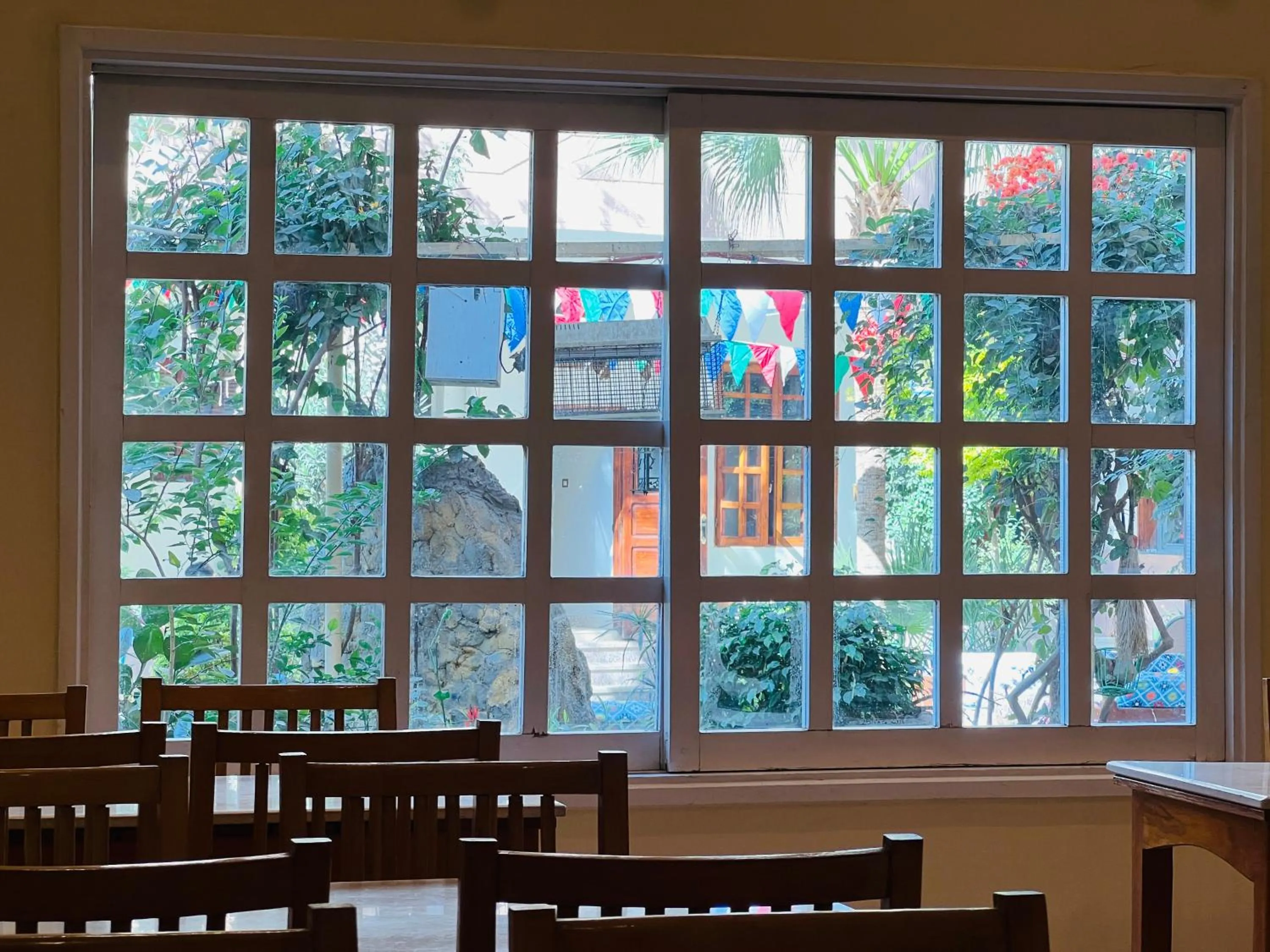 Garden view in Amon Hotel