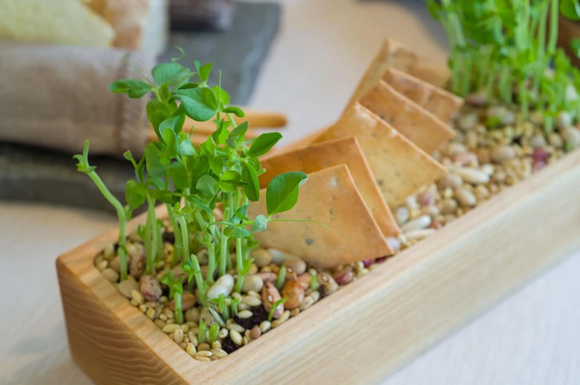 Restaurant/places to eat in Borgo La Chiaracia Resort & SPA