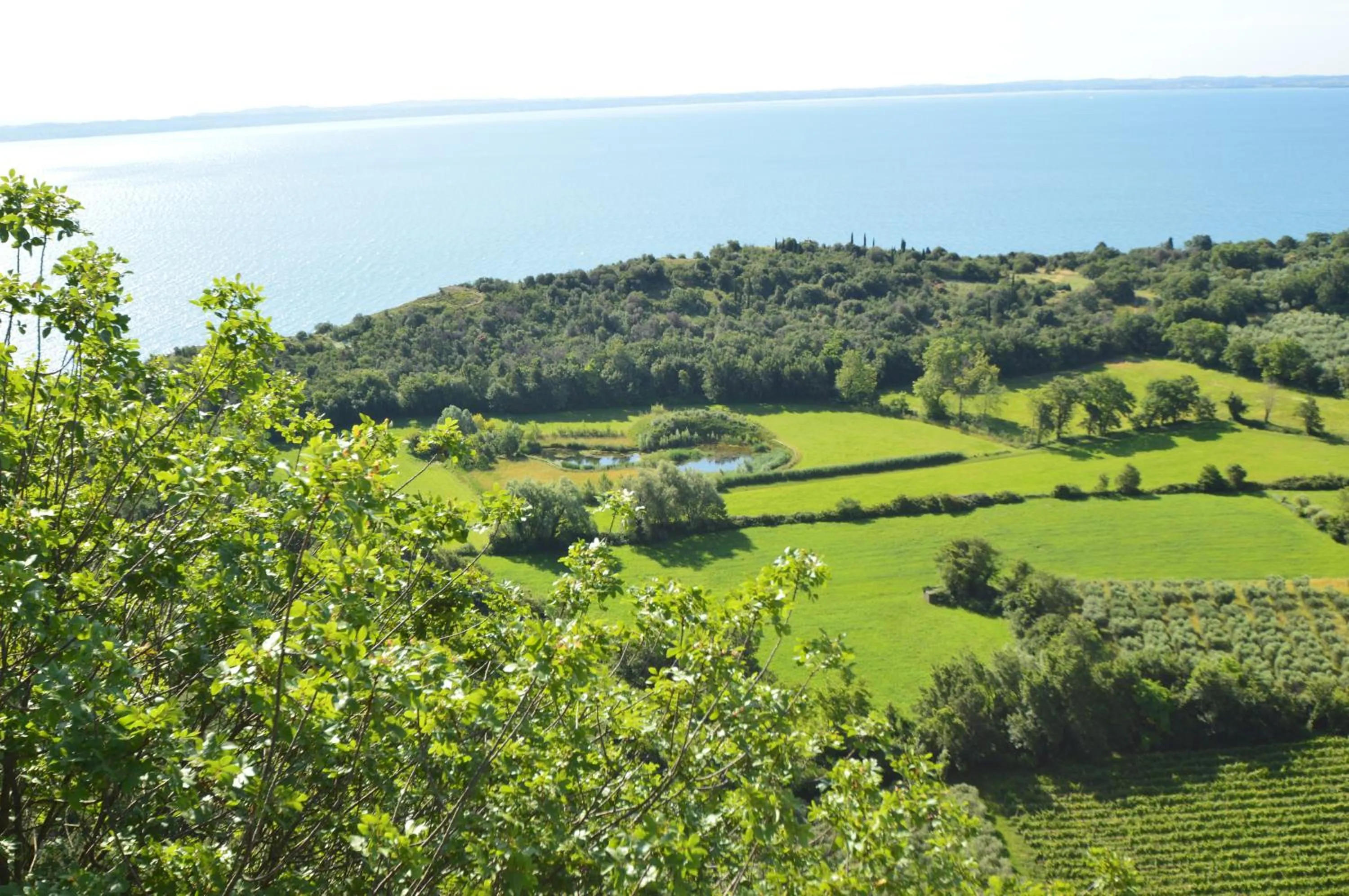 Natural landscape in Agriturismo La Filanda