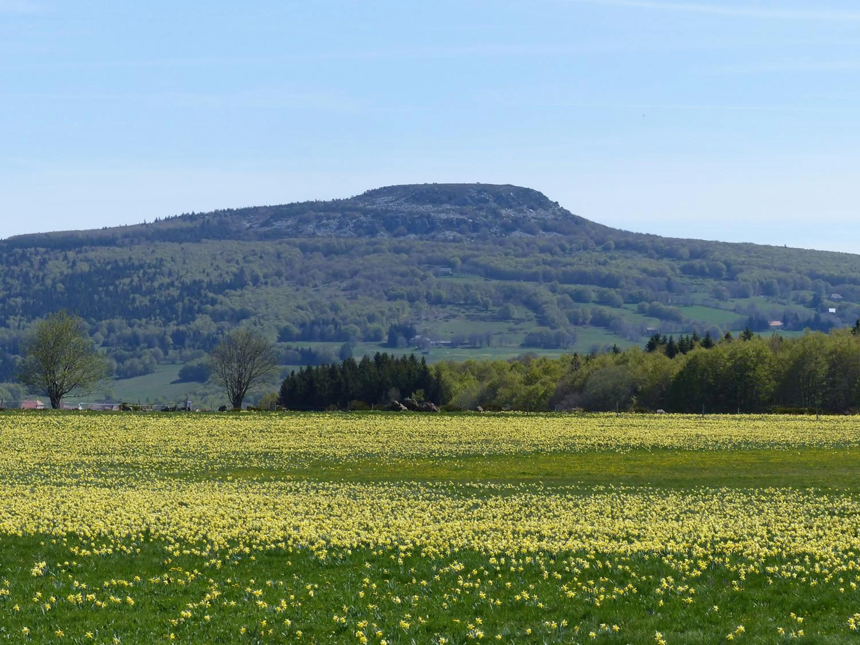 Natural landscape in Terres de France - Le Domaine des Vans