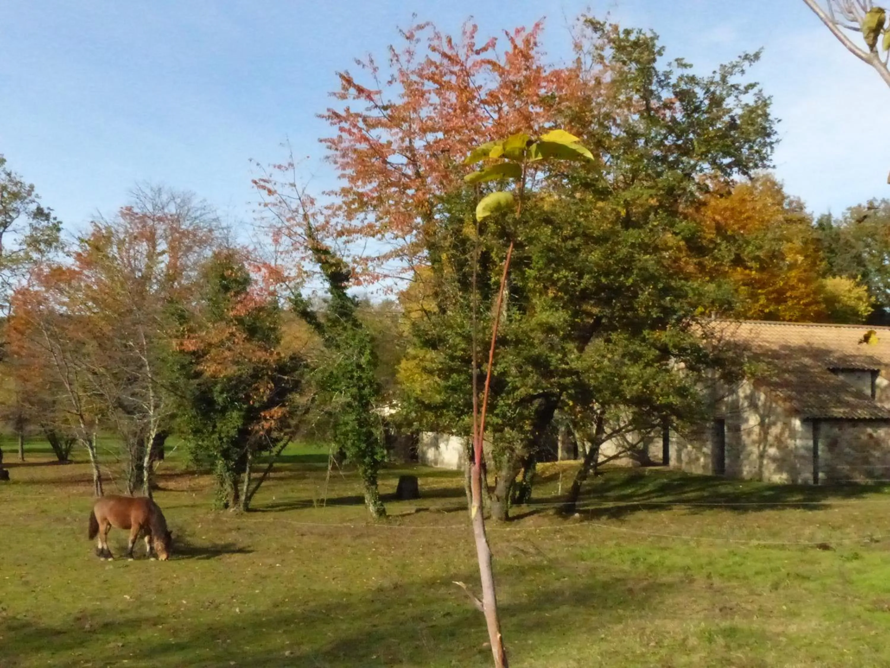 Garden in Terres de France - Le Domaine des Vans