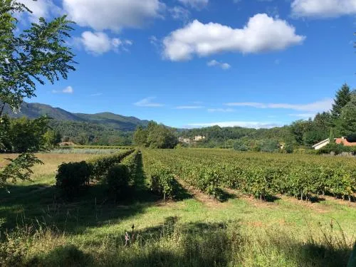 Terres de France - Le Domaine des Vans