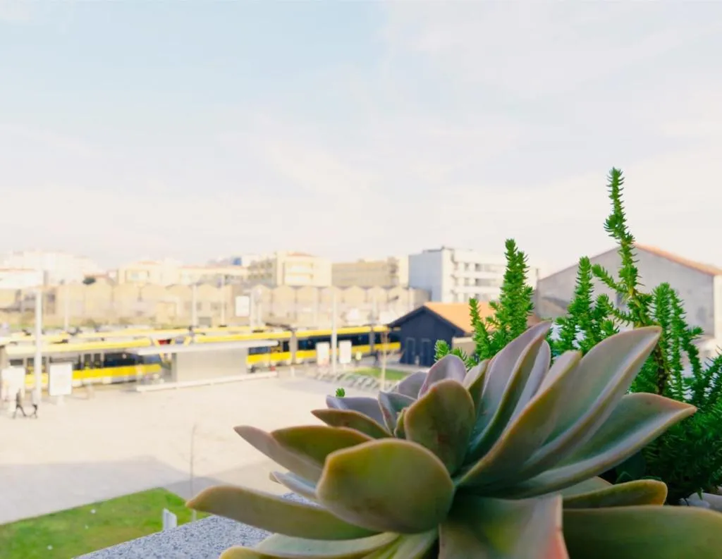City view in ó Poboa Guesthouse