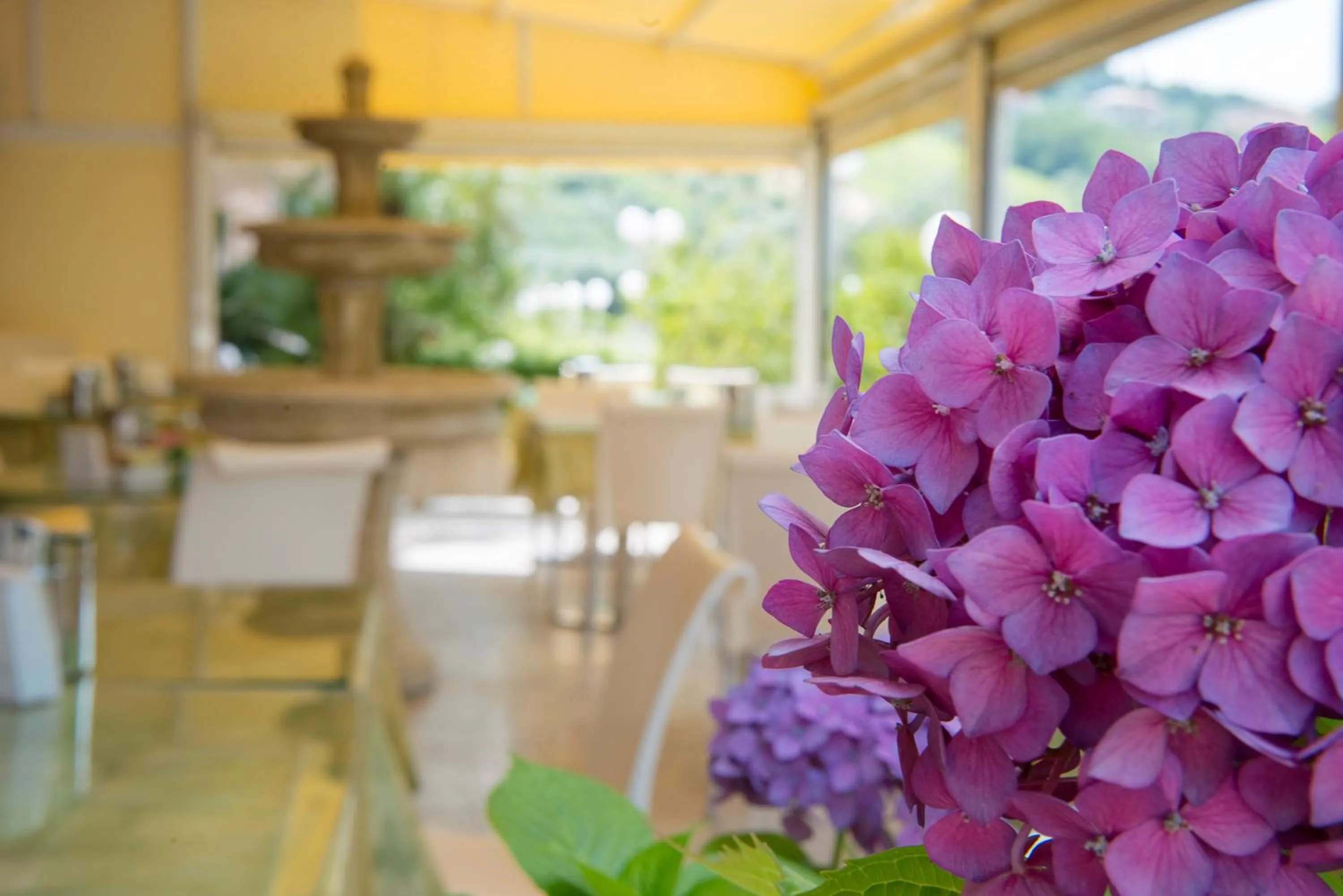 Lounge or bar in Hotel Villa Elena