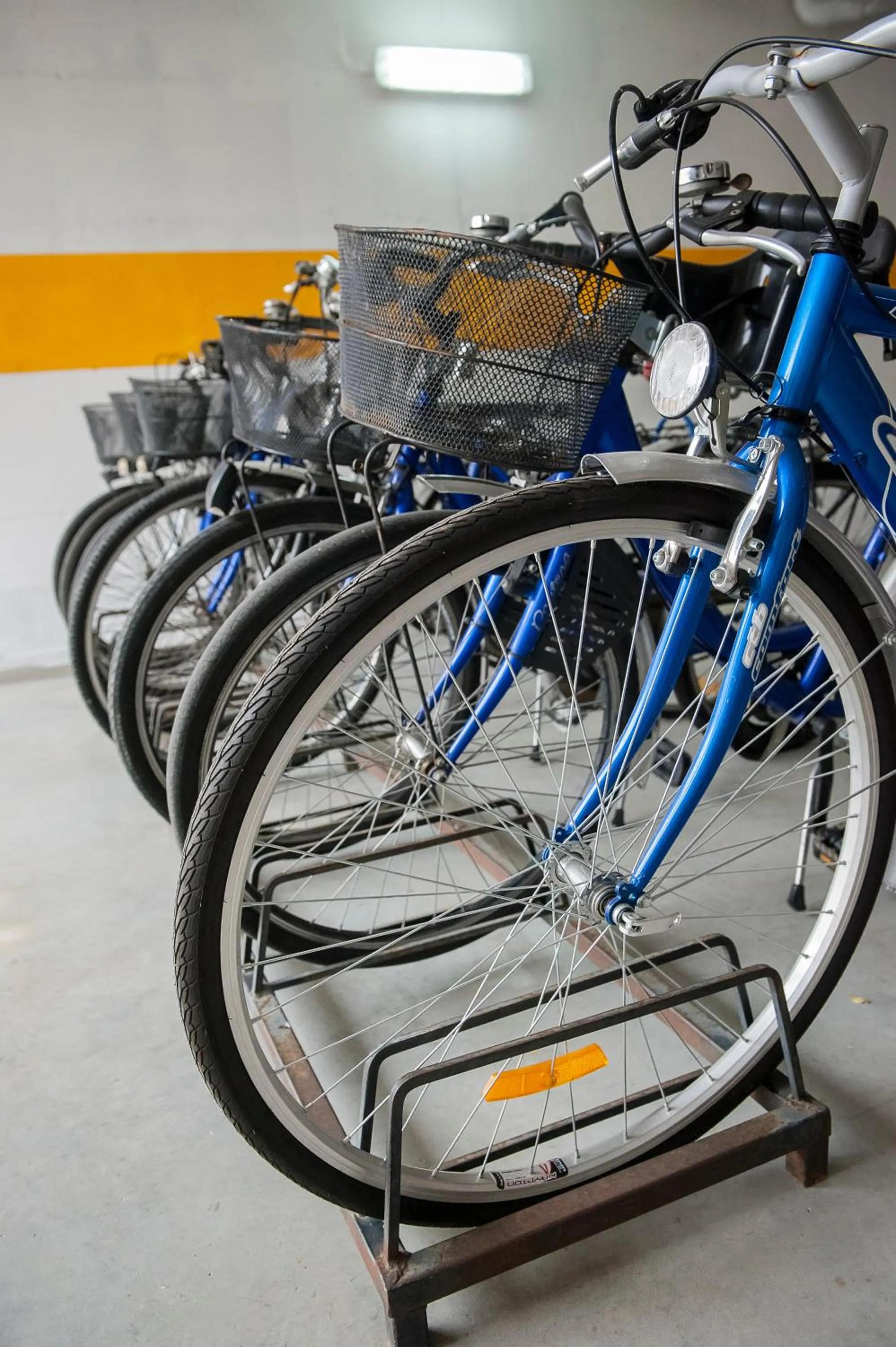 Cycling in Hotel Villa Elena