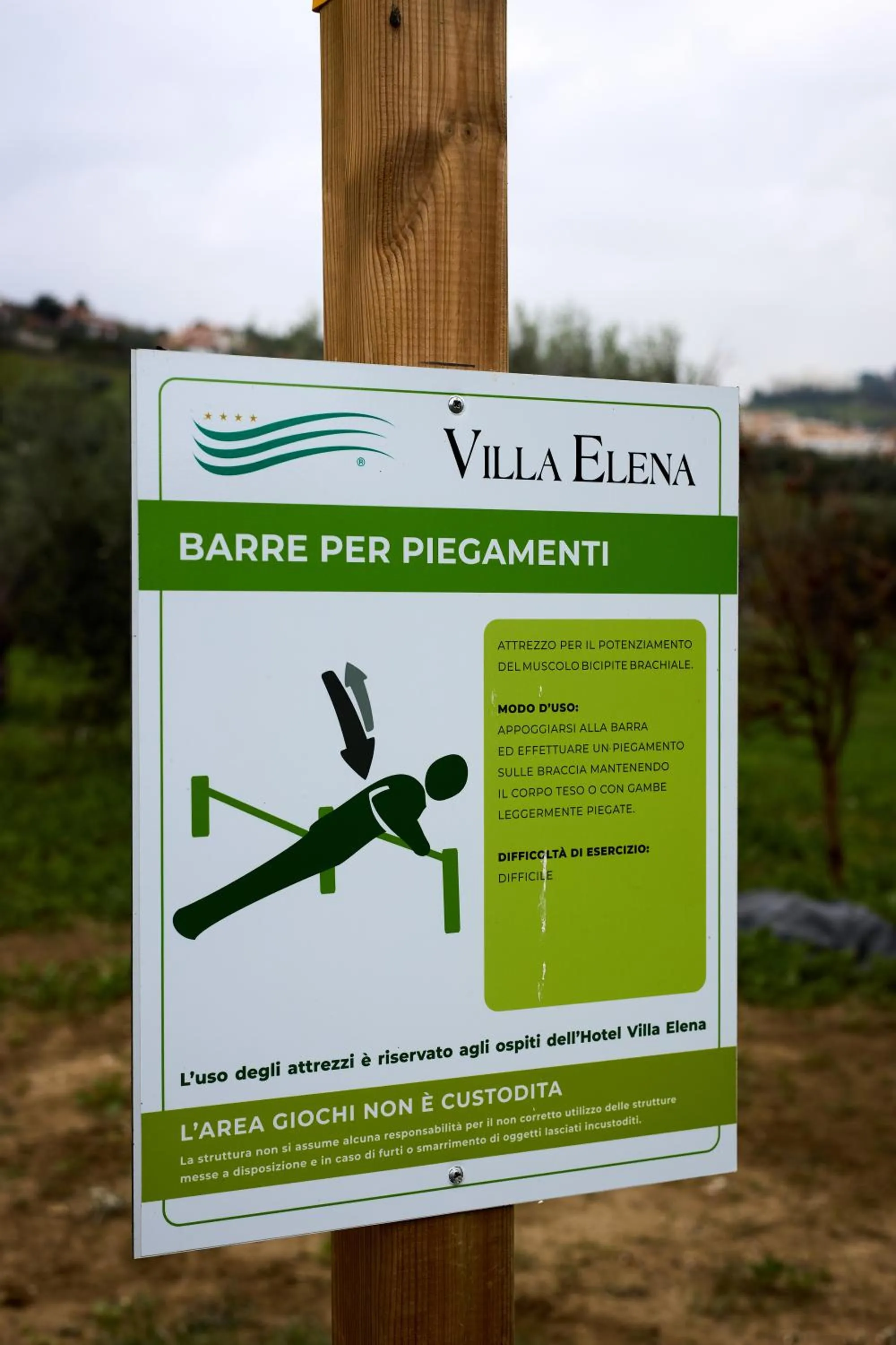 Garden in Hotel Villa Elena