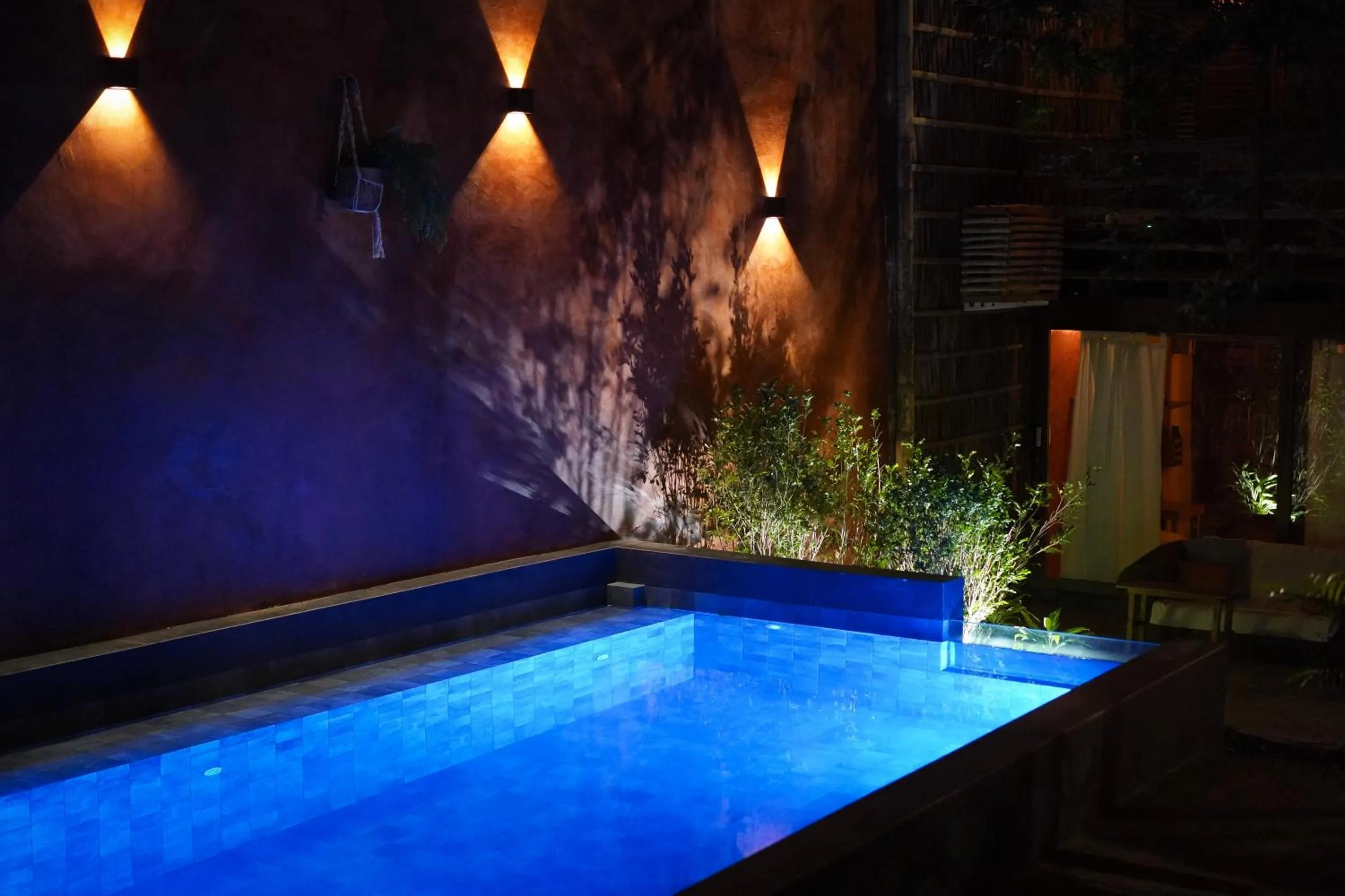 Garden in Eco Lodge Mancora