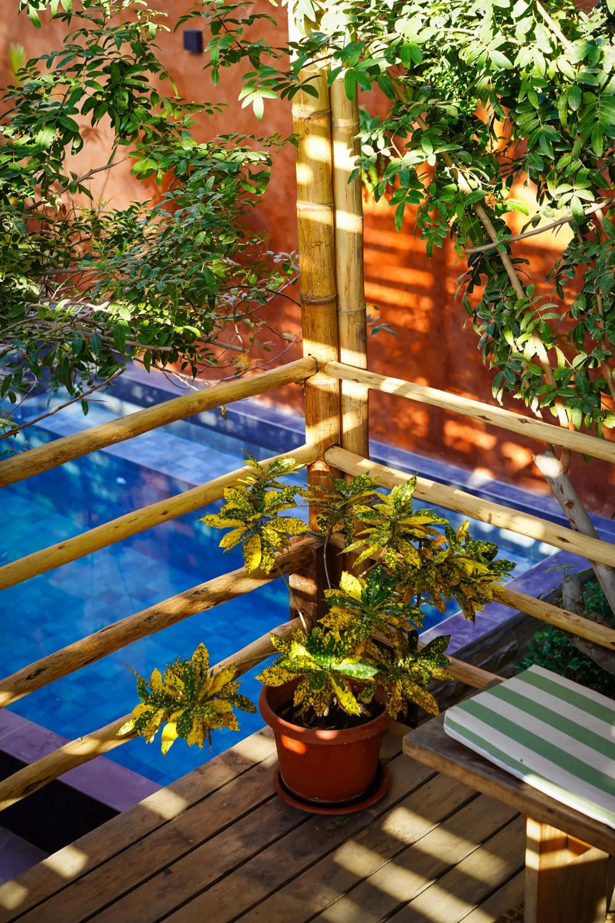 Garden in Eco Lodge Mancora