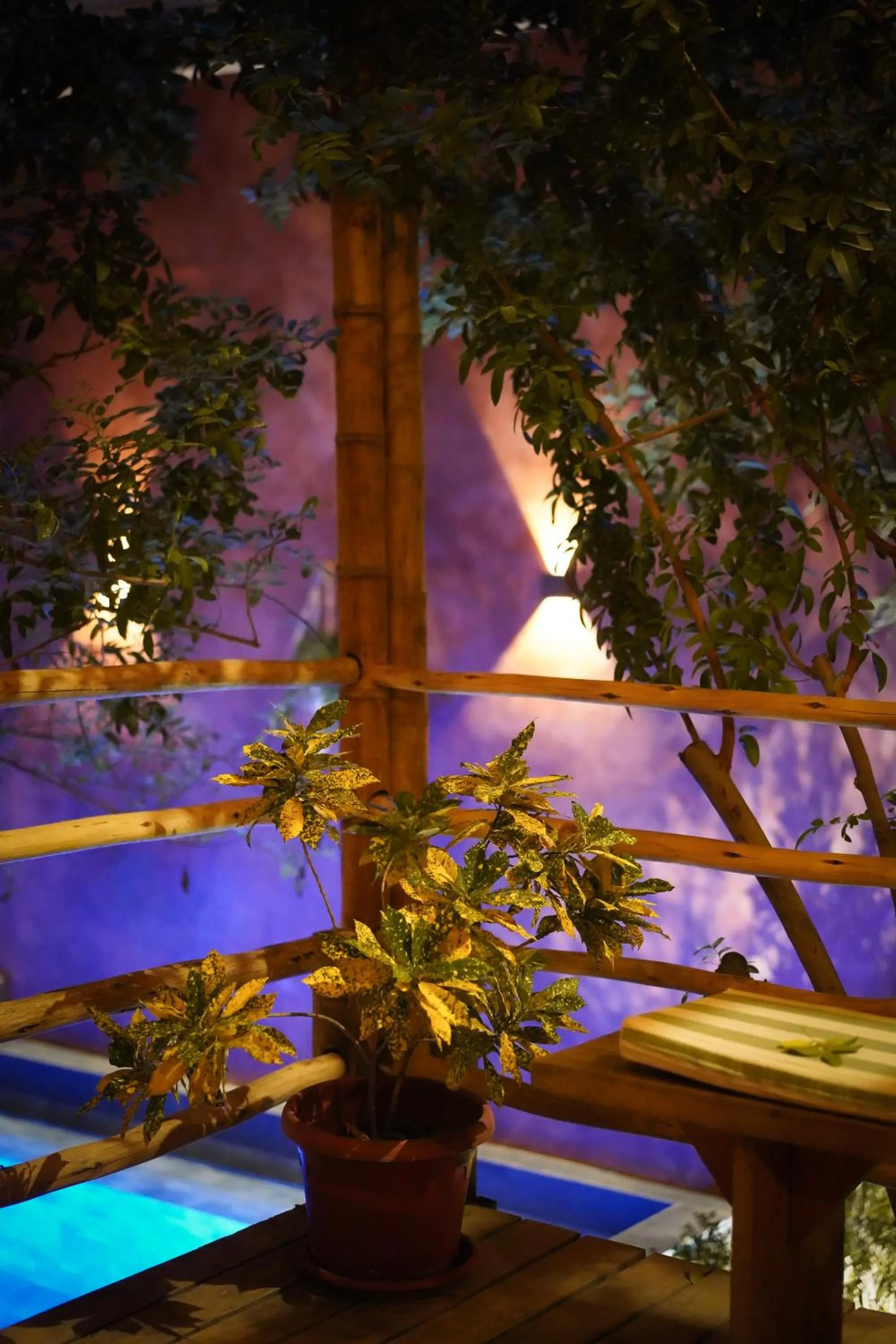 Garden in Eco Lodge Mancora