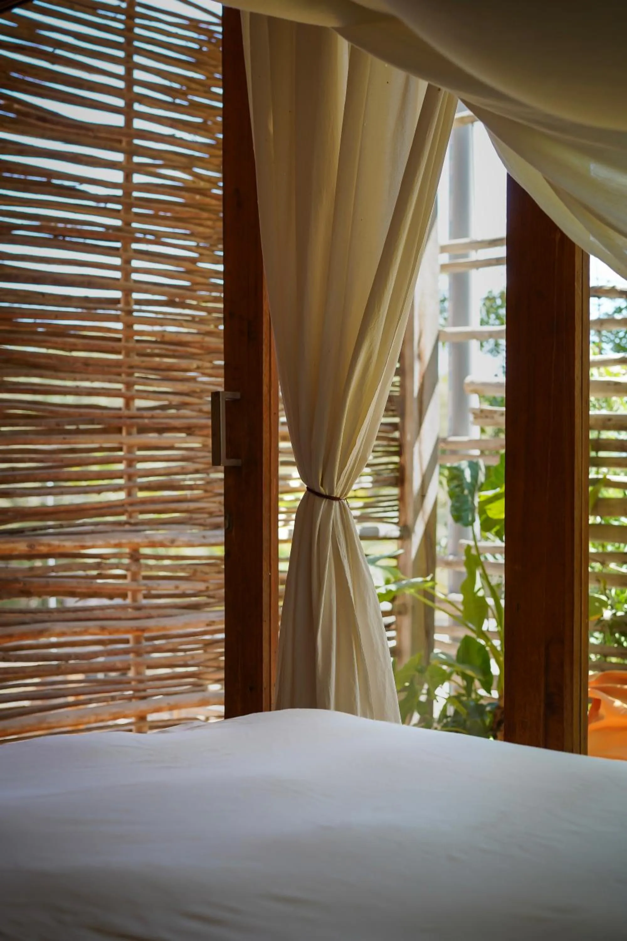 Day, Bed in Eco Lodge Mancora