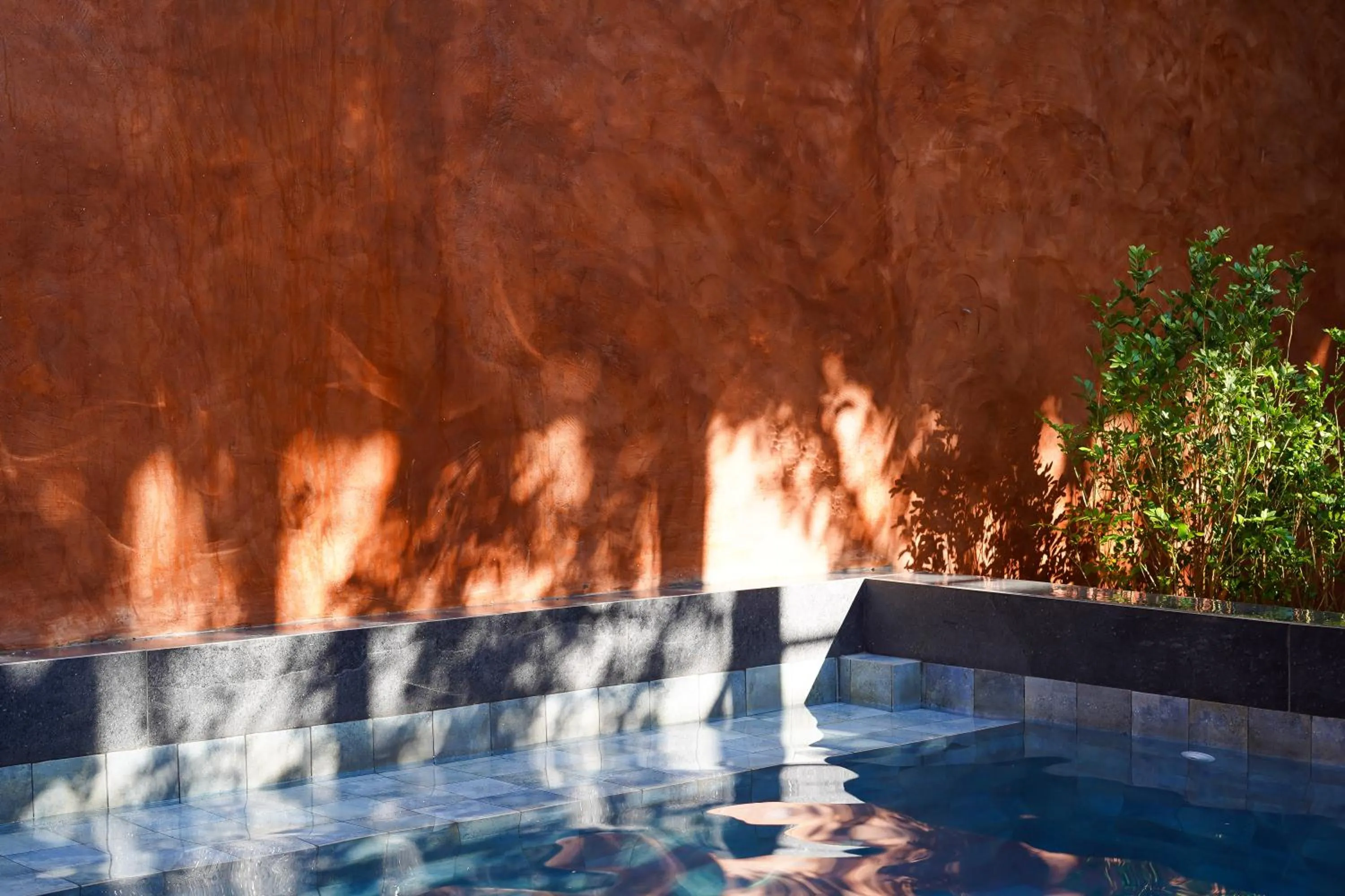 Garden in Eco Lodge Mancora